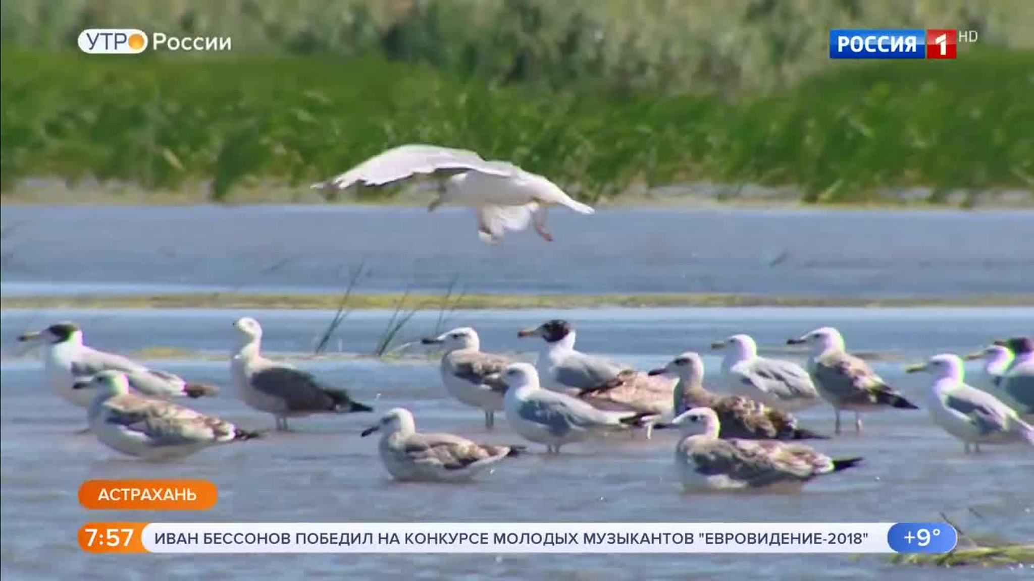 Эфир от 24.08.2018