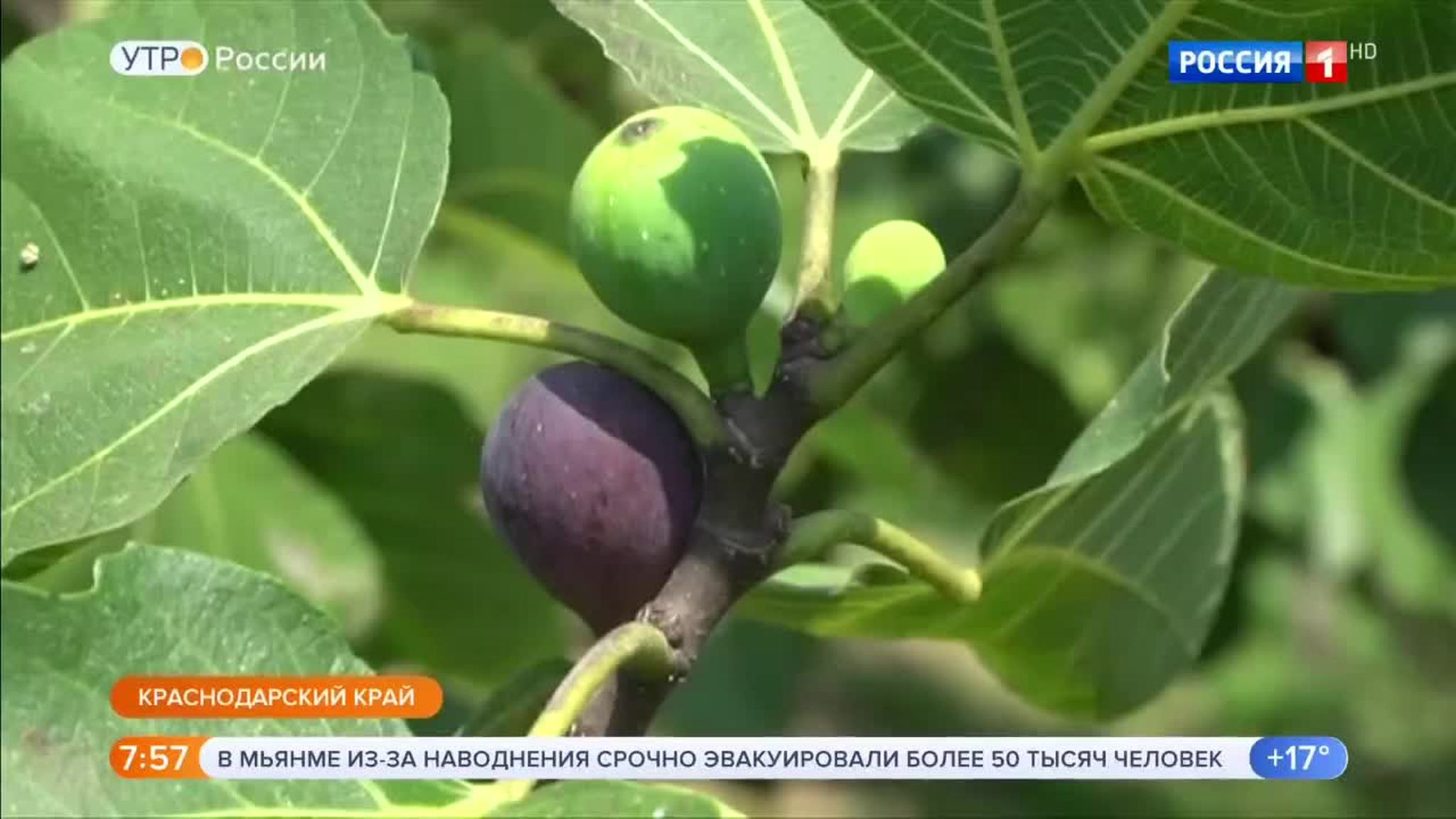 Эфир от 30.08.2018