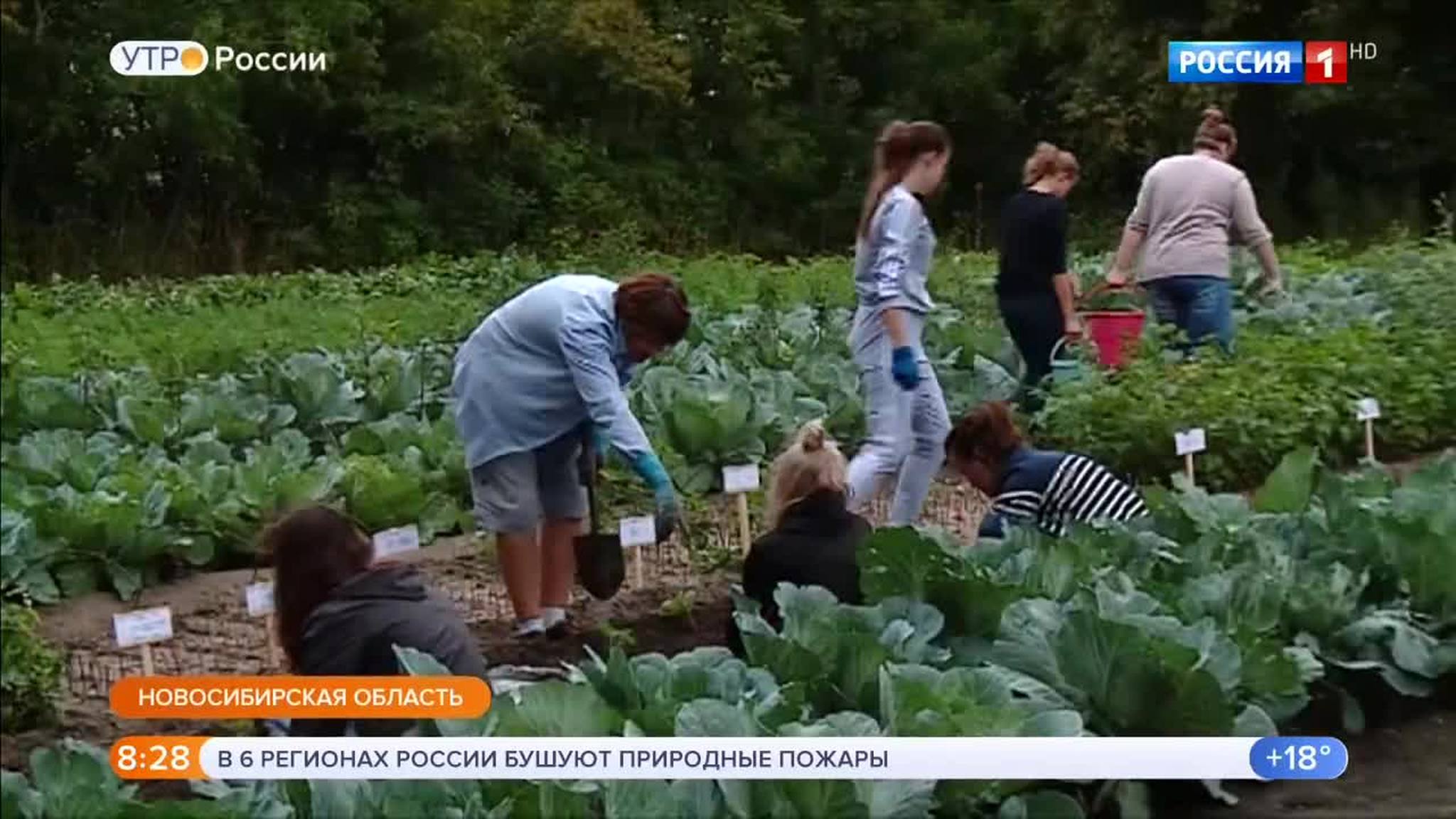 Эфир от 30.08.2018