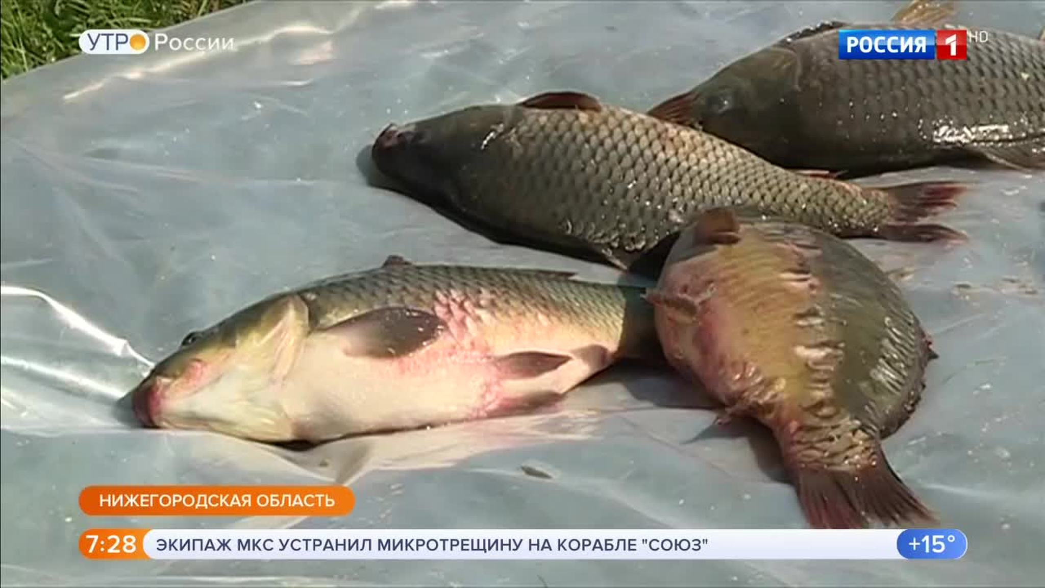 Эфир от 31.08.2018
