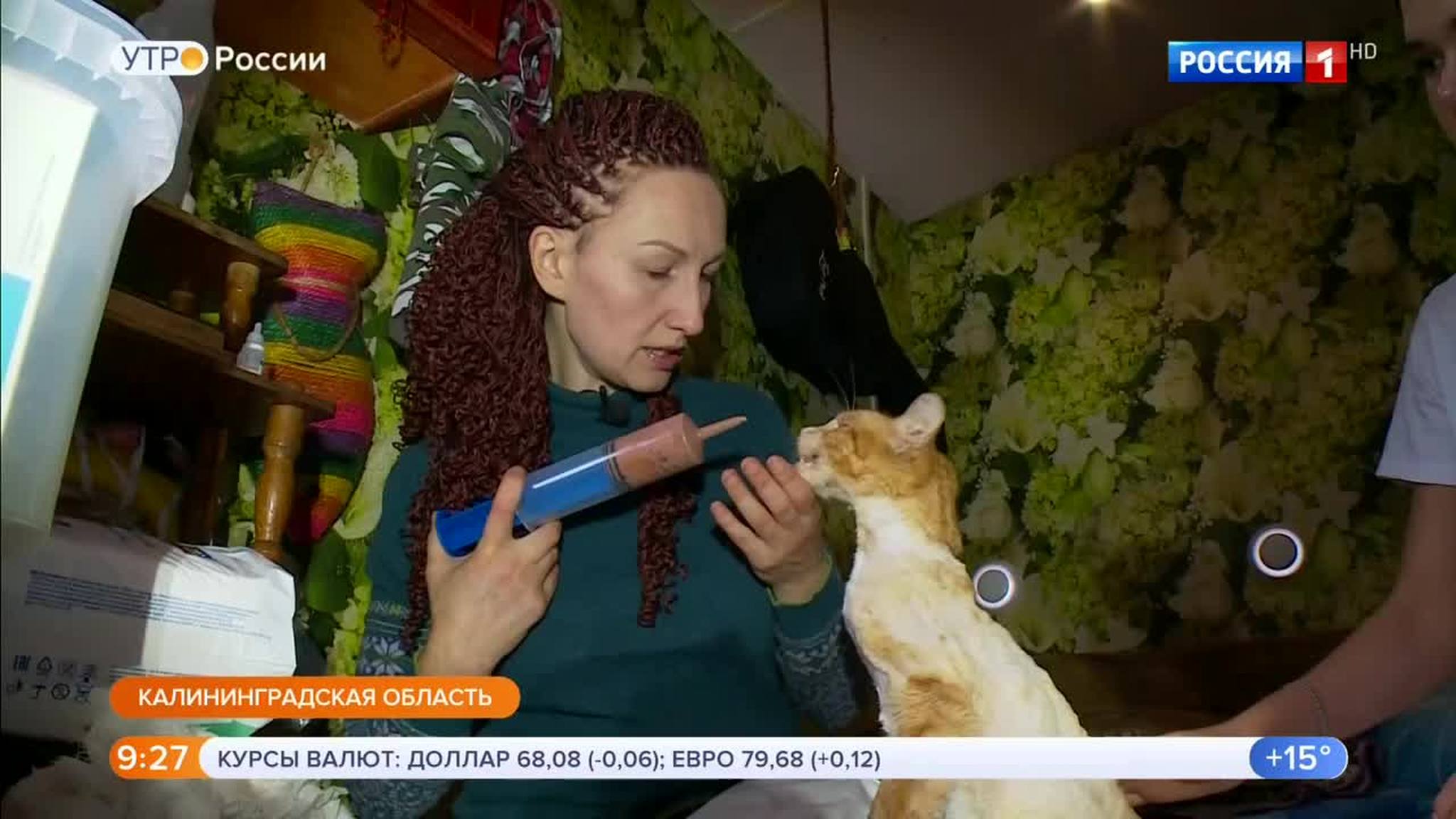Эфир от 31.08.2018
