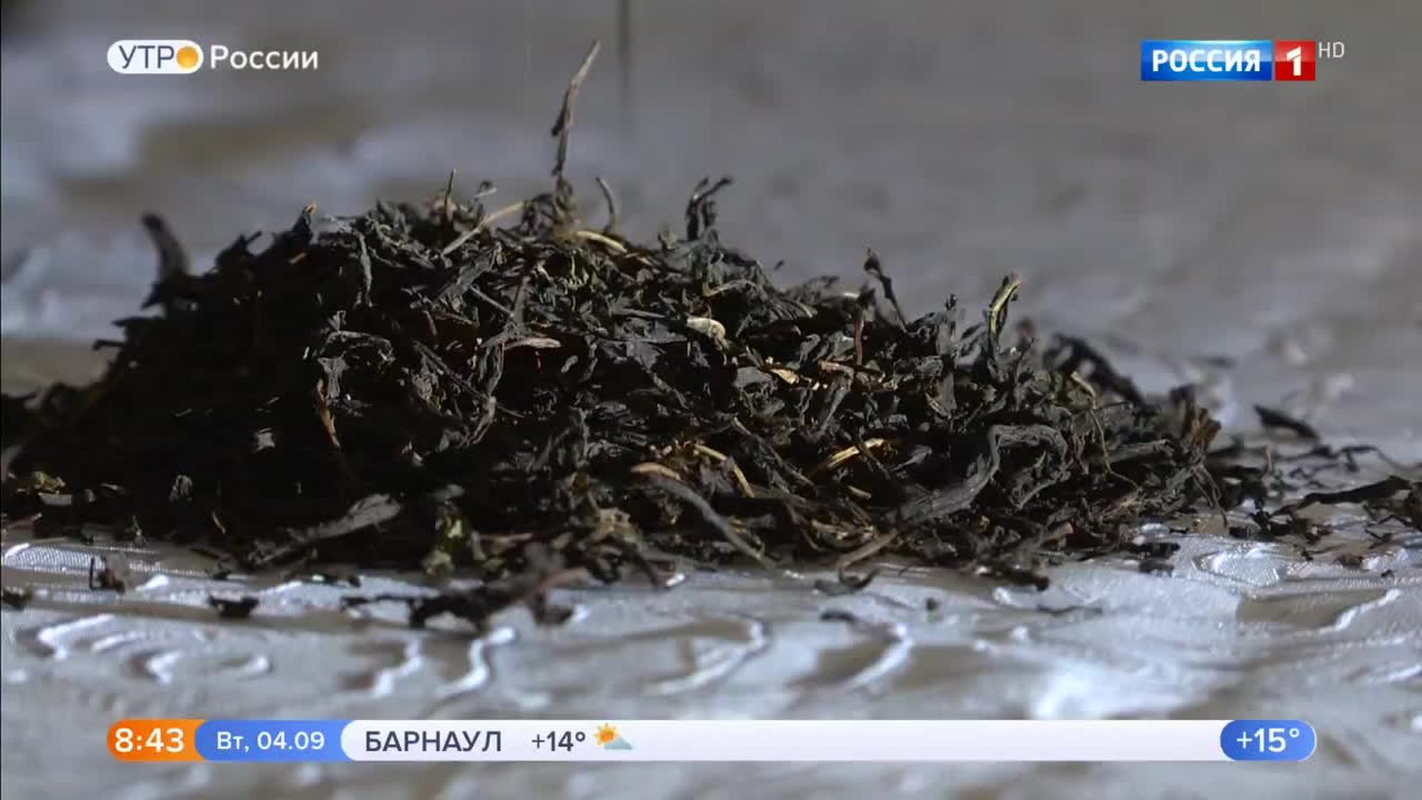 Эфир от 04.09.2018