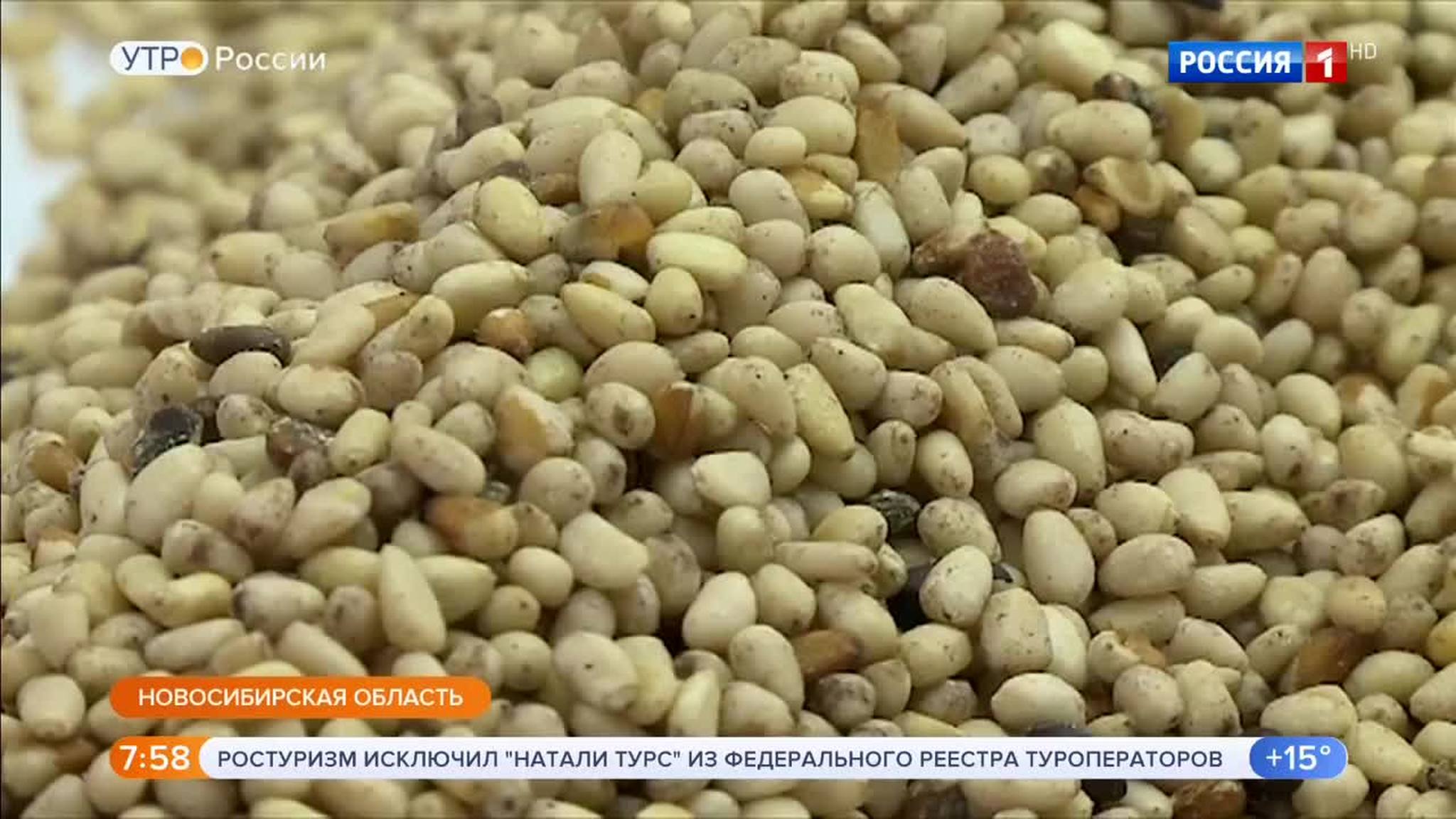 Эфир от 04.09.2018