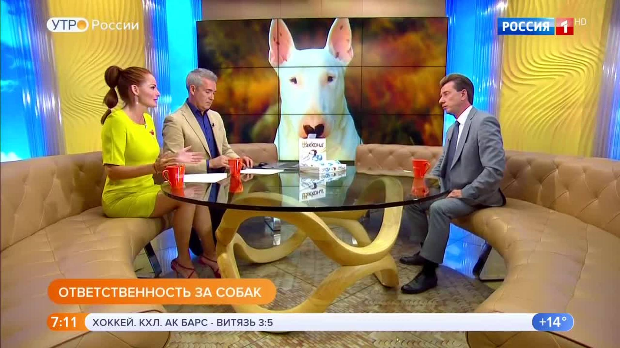 Эфир от 06.09.2018