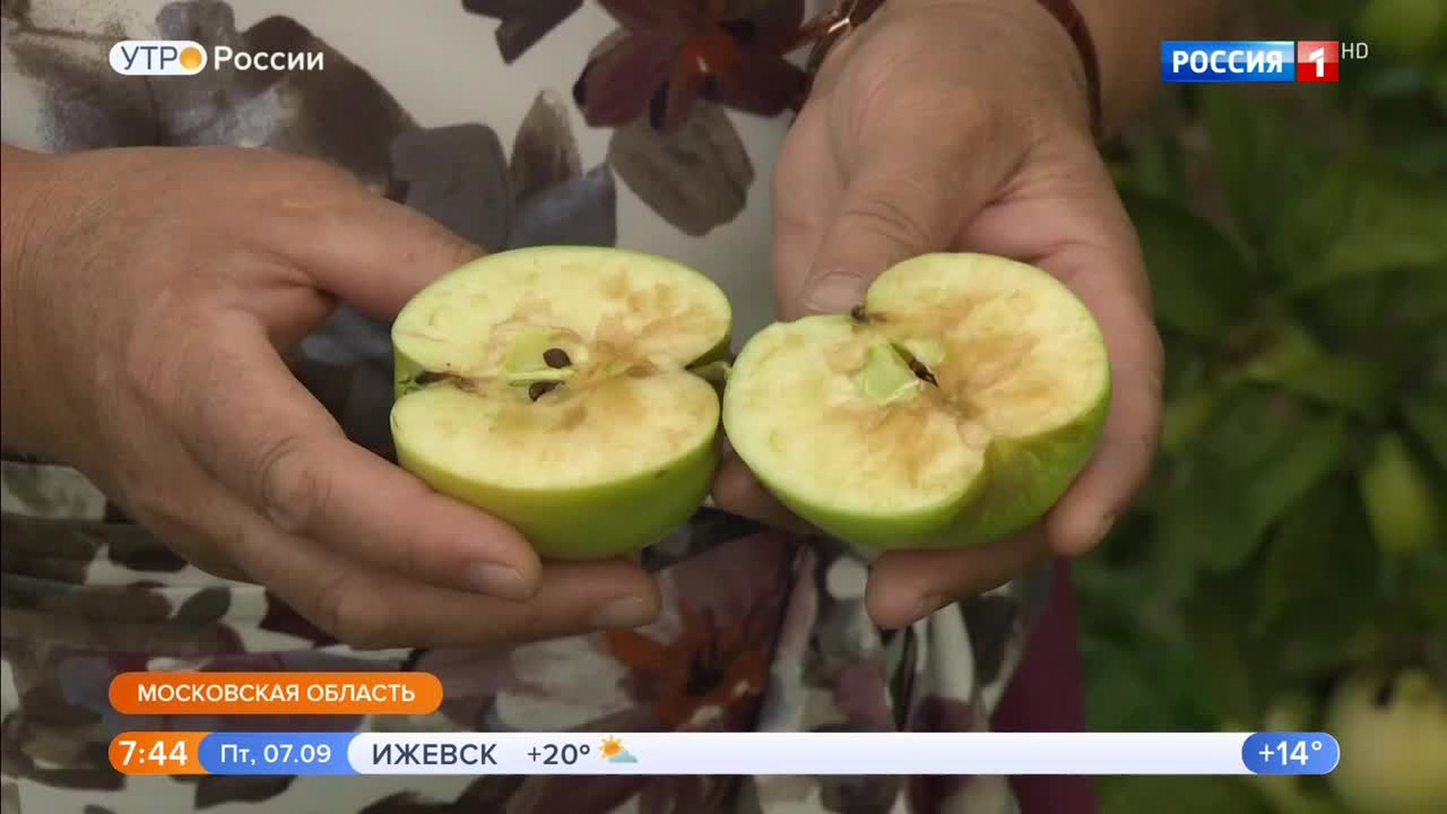 Эфир от 07.09.2018