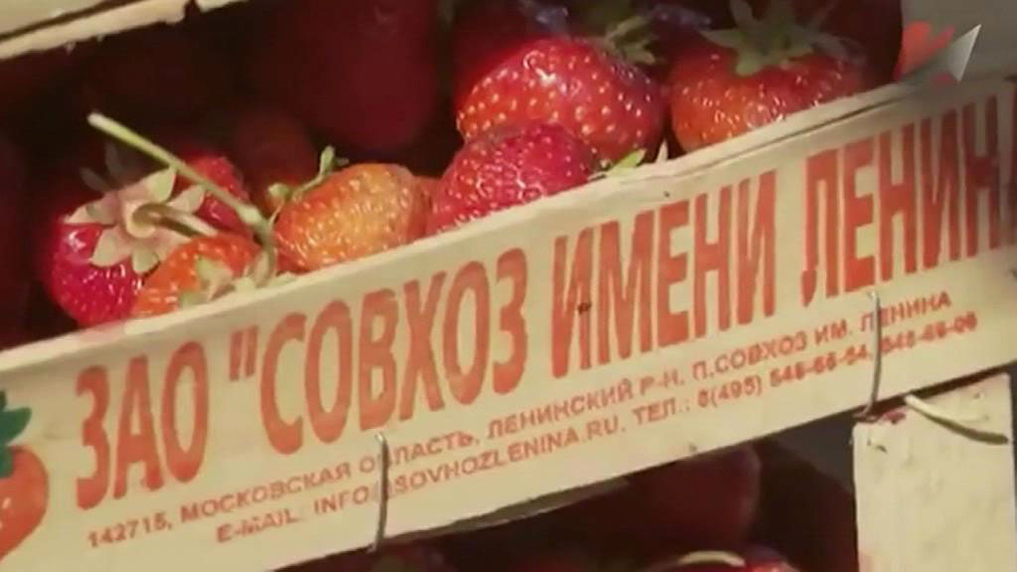 Арестованы акции Павла Грудинина в Совхозе имени Ленина