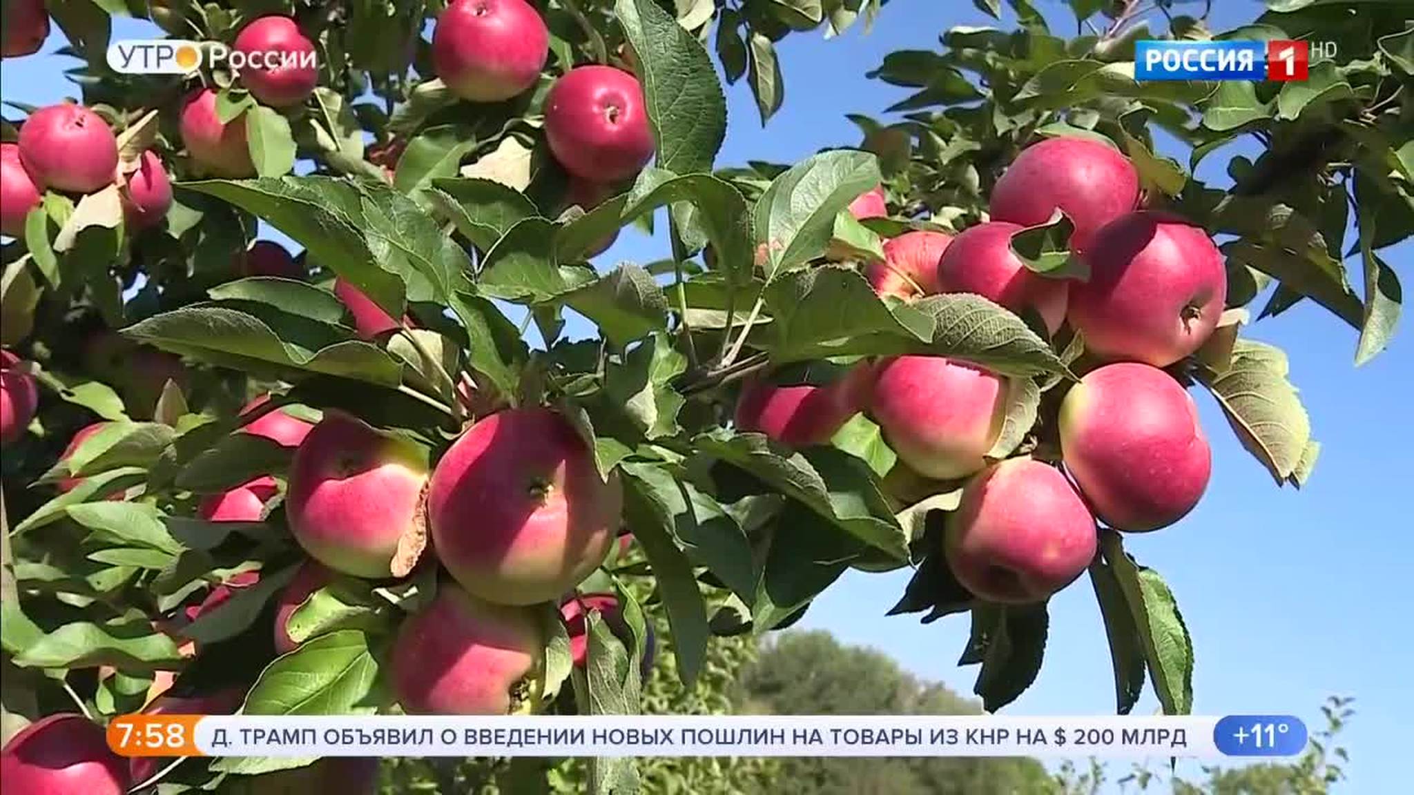 Эфир от 18.09.2018