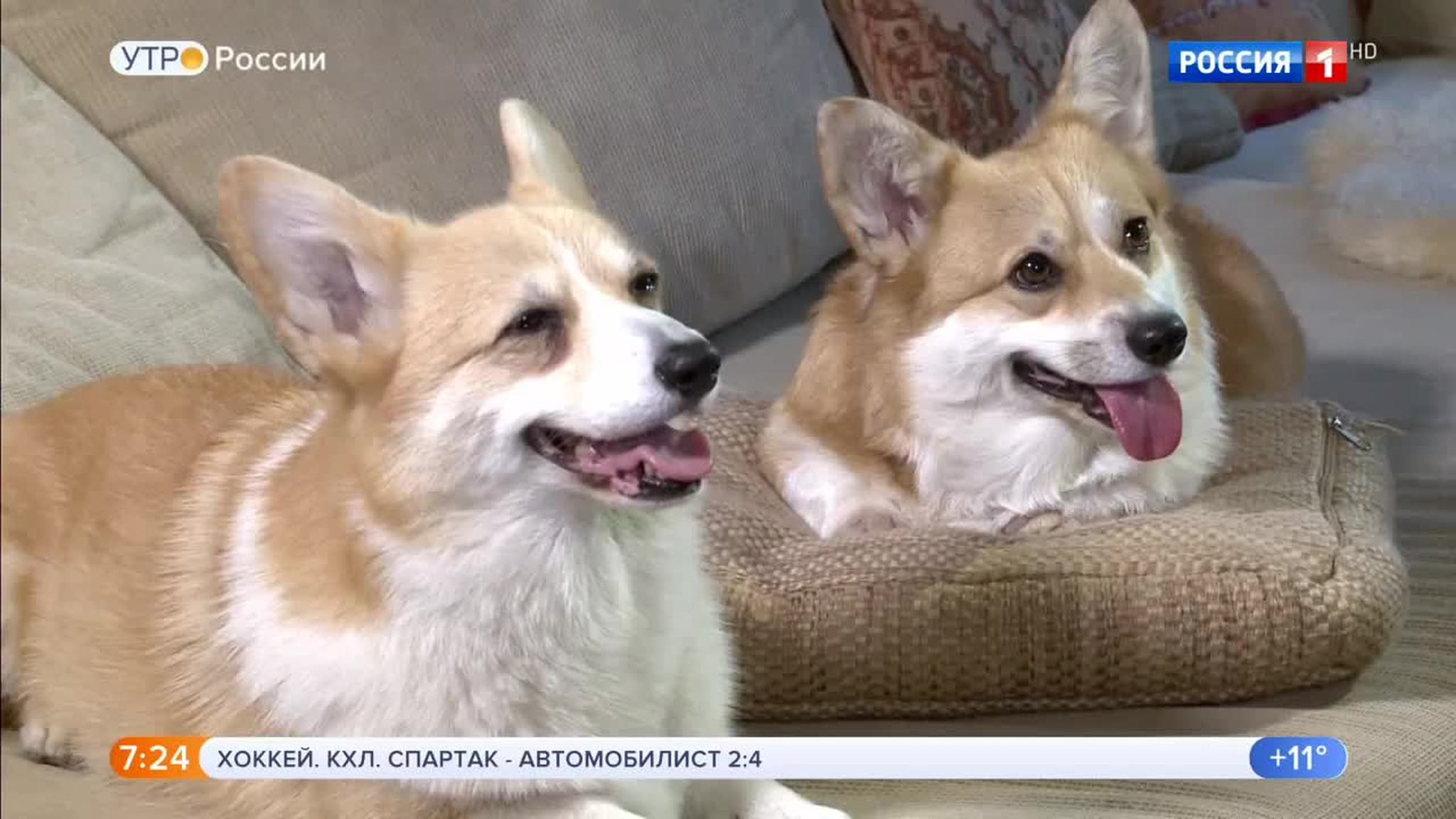 Эфир от 18.09.2018