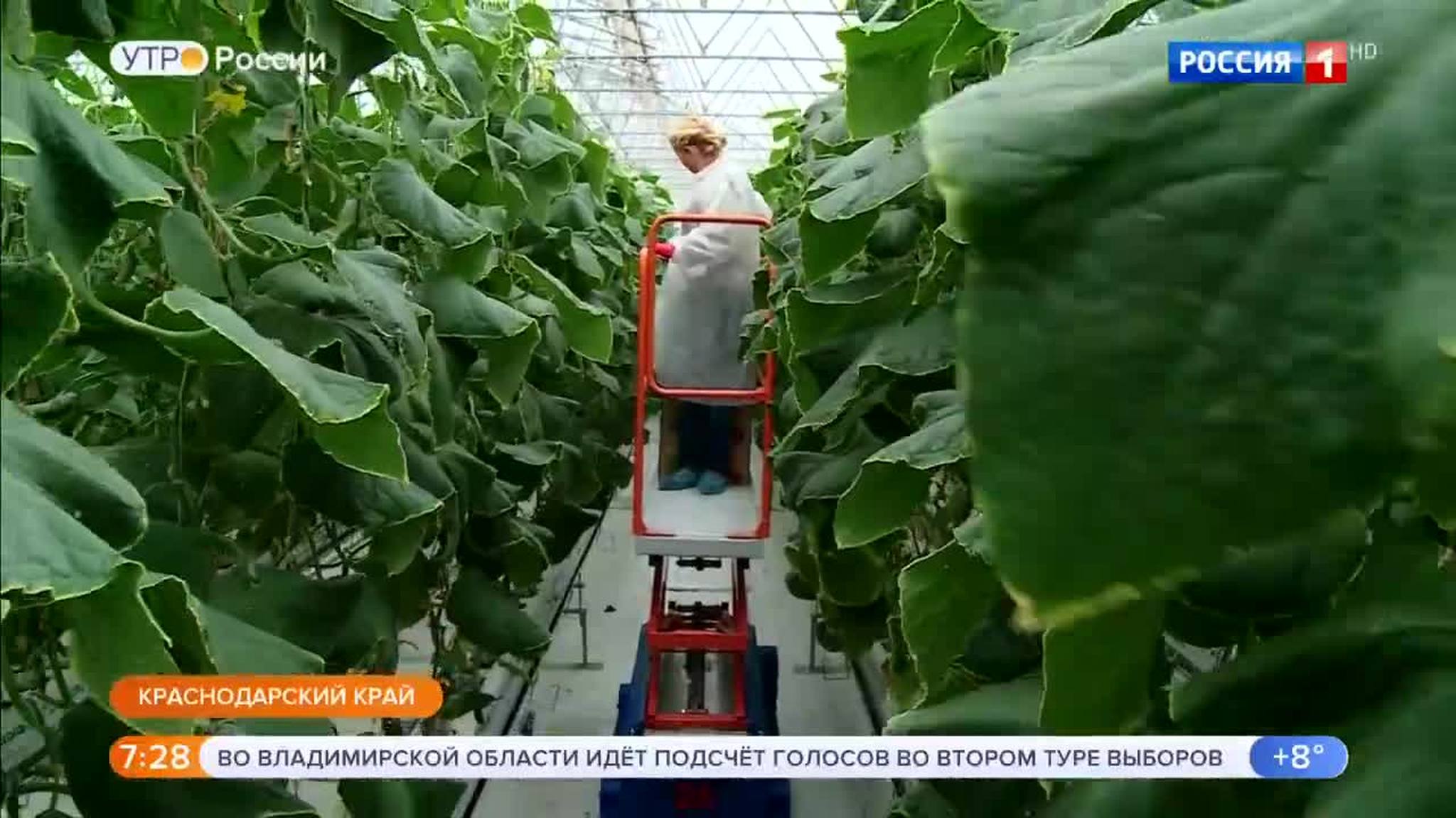 Эфир от 24.09.2018