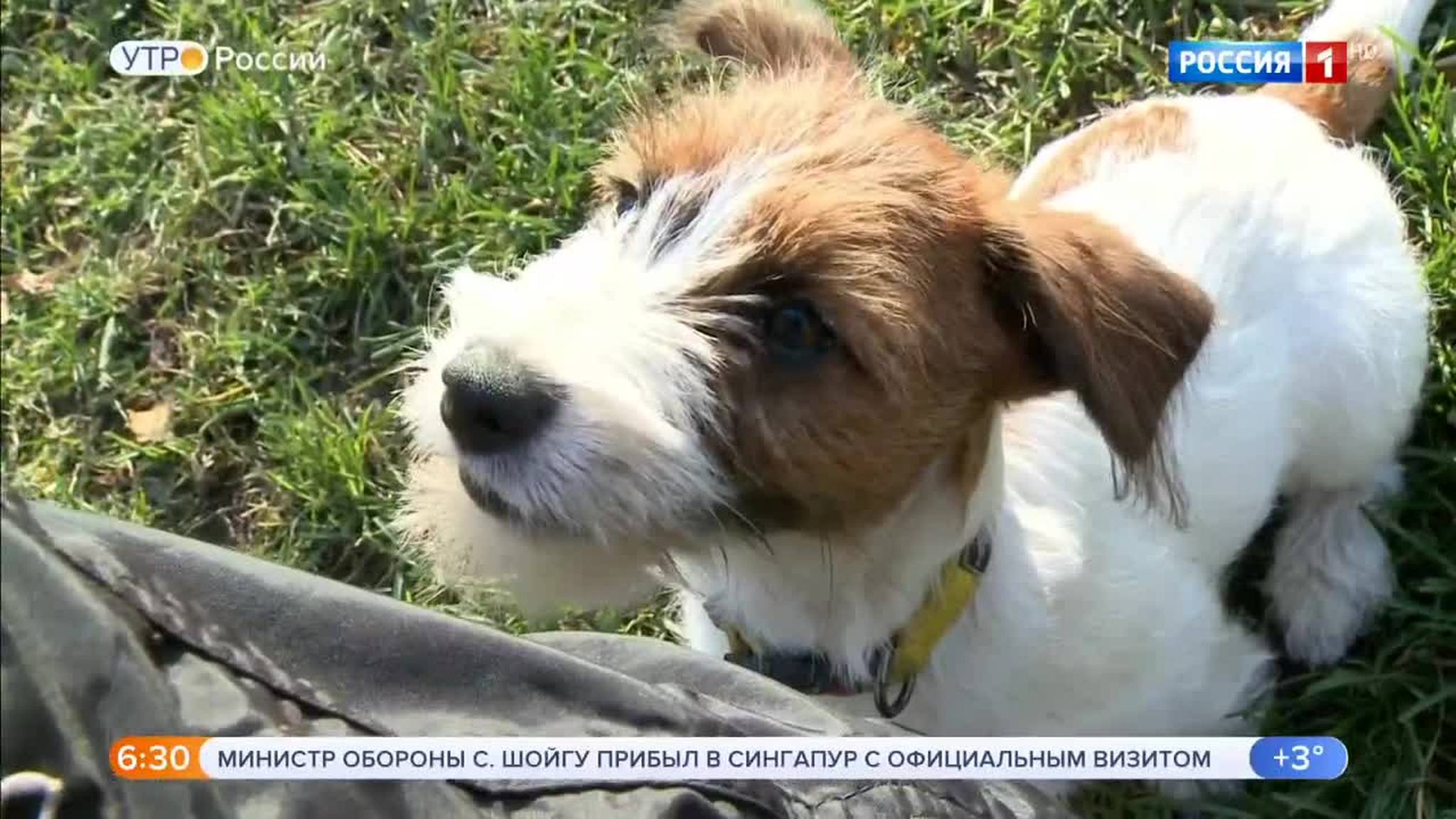 Эфир от 20.10.2018