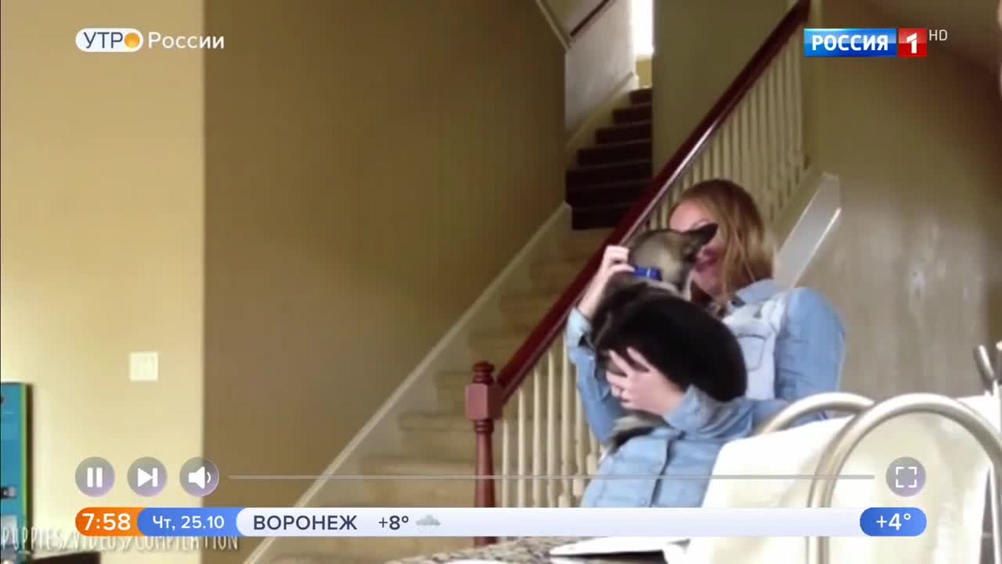 Эфир от 25.10.2018