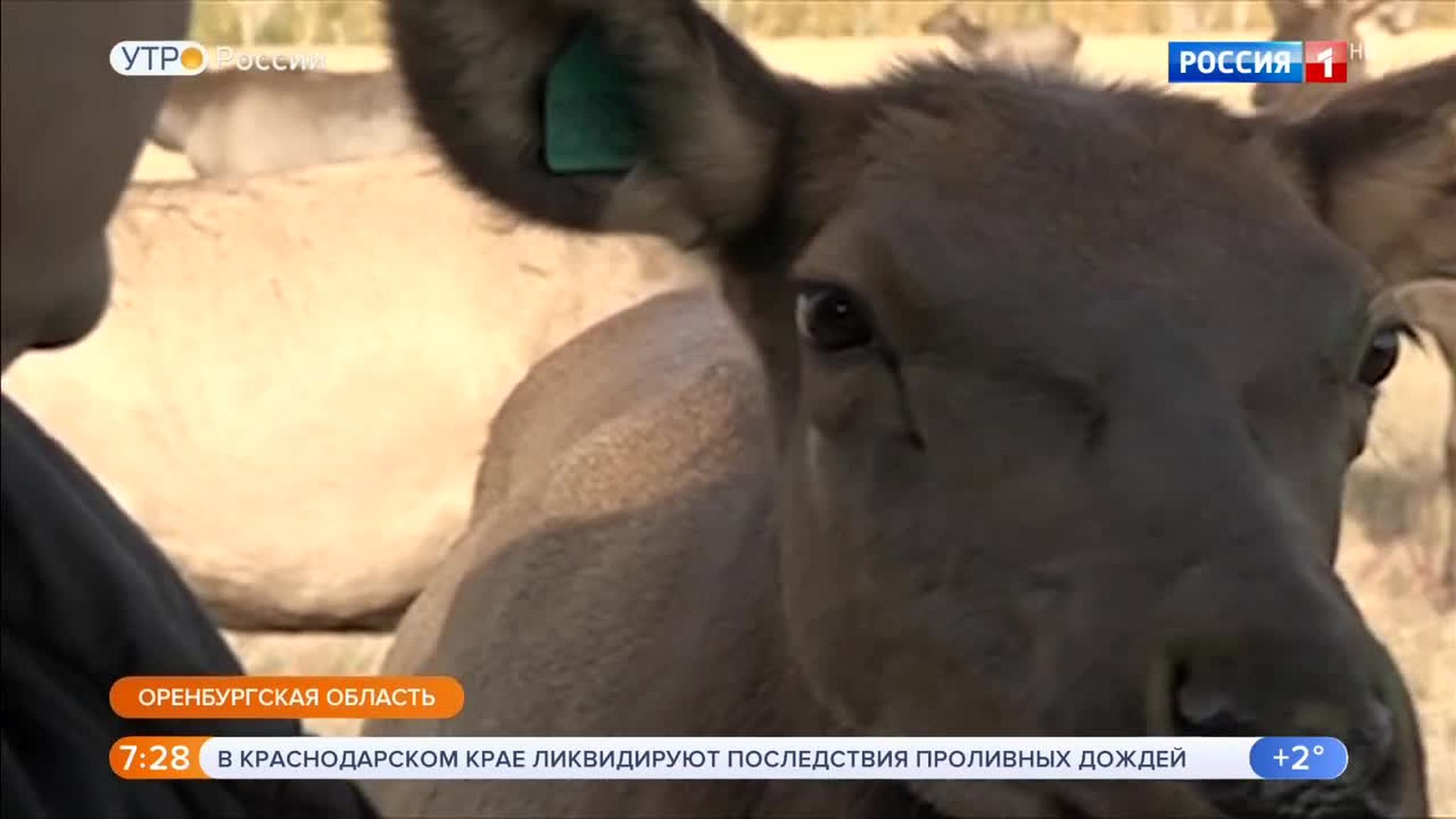 Эфир от 29.10.2018