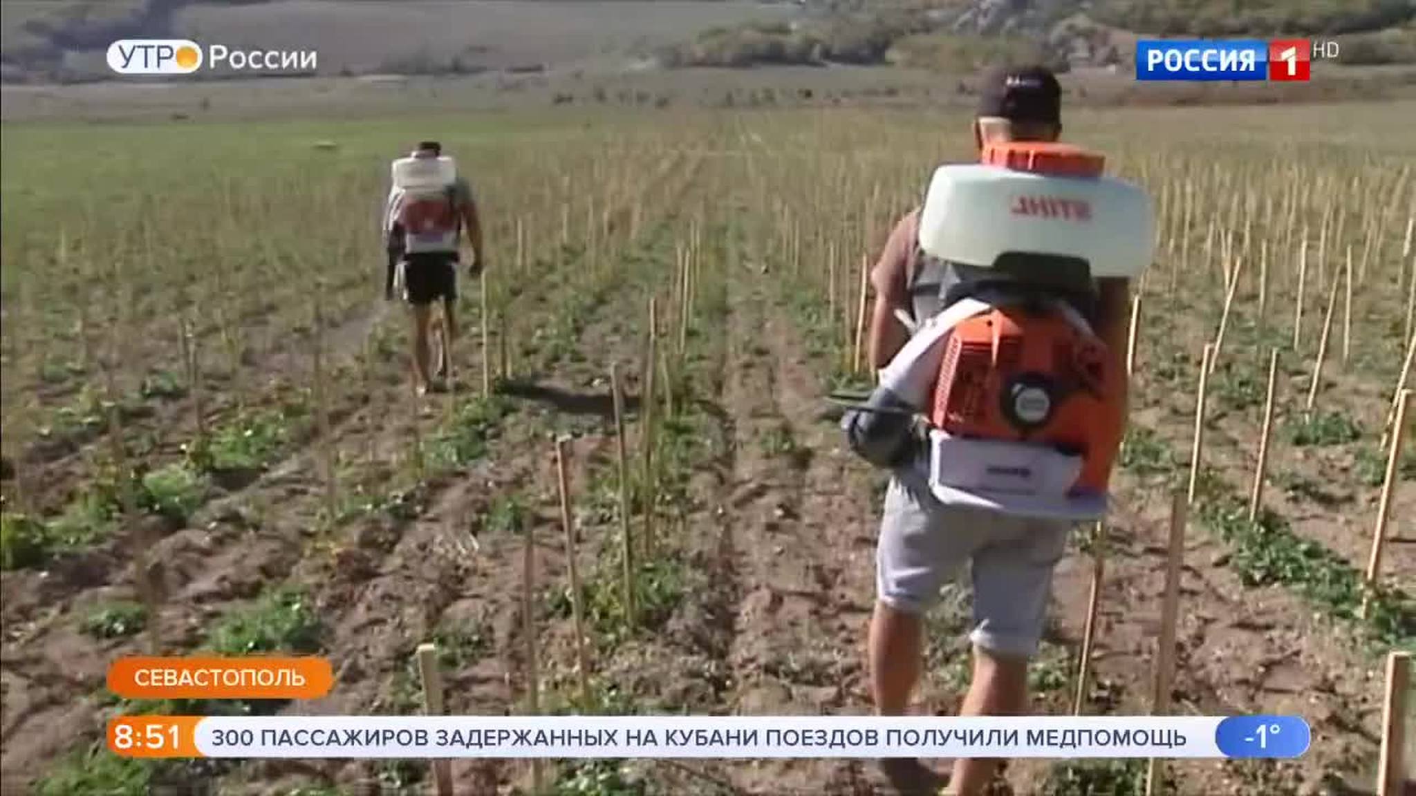 Эфир от 30.10.2018