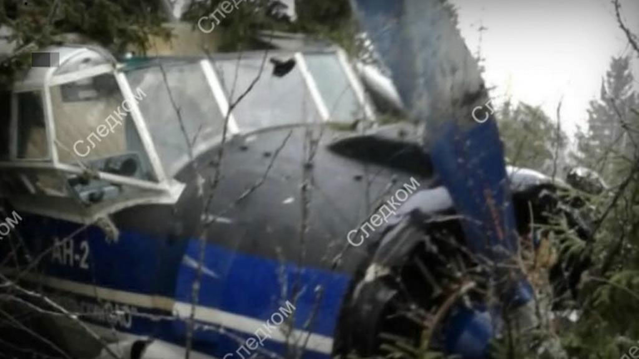 Вынужденная посадка Ан-2 под Архангельском  могла произойти из-за обледенения