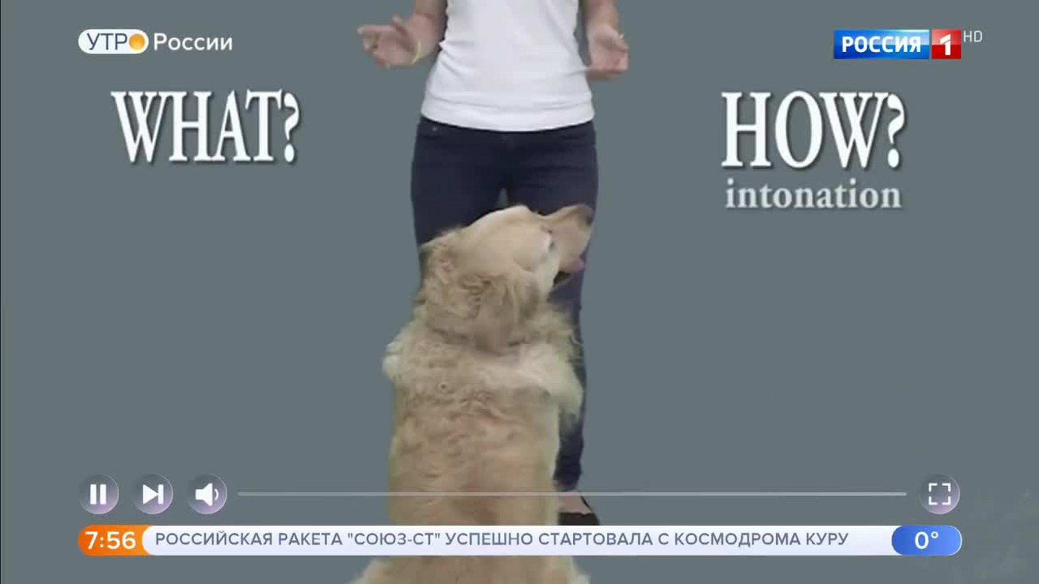 Эфир от 07.11.2018