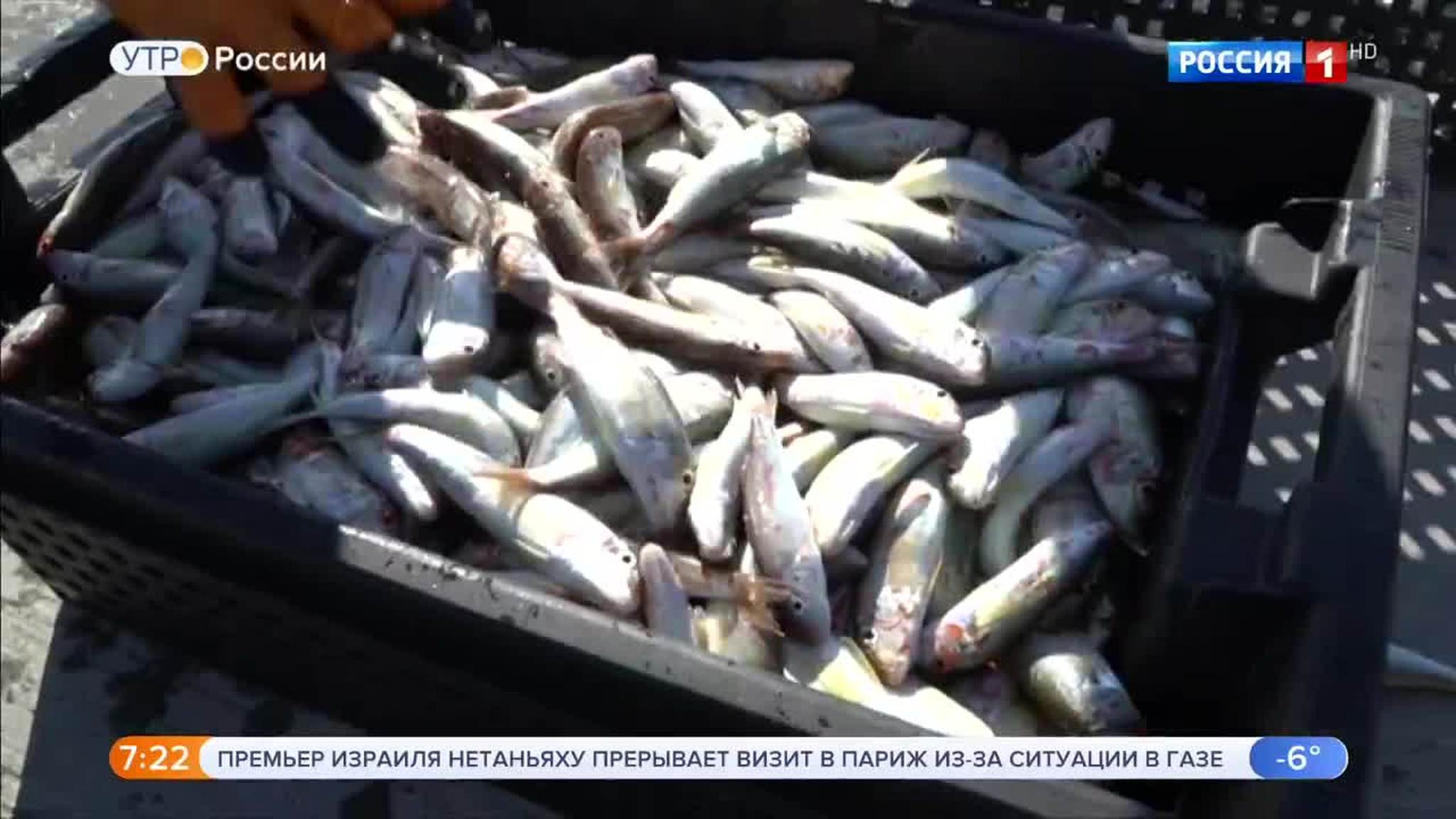 Эфир от 13.11.2018