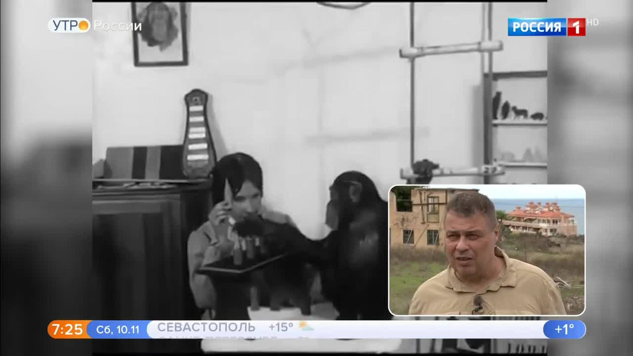 Эфир от 10.11.2018
