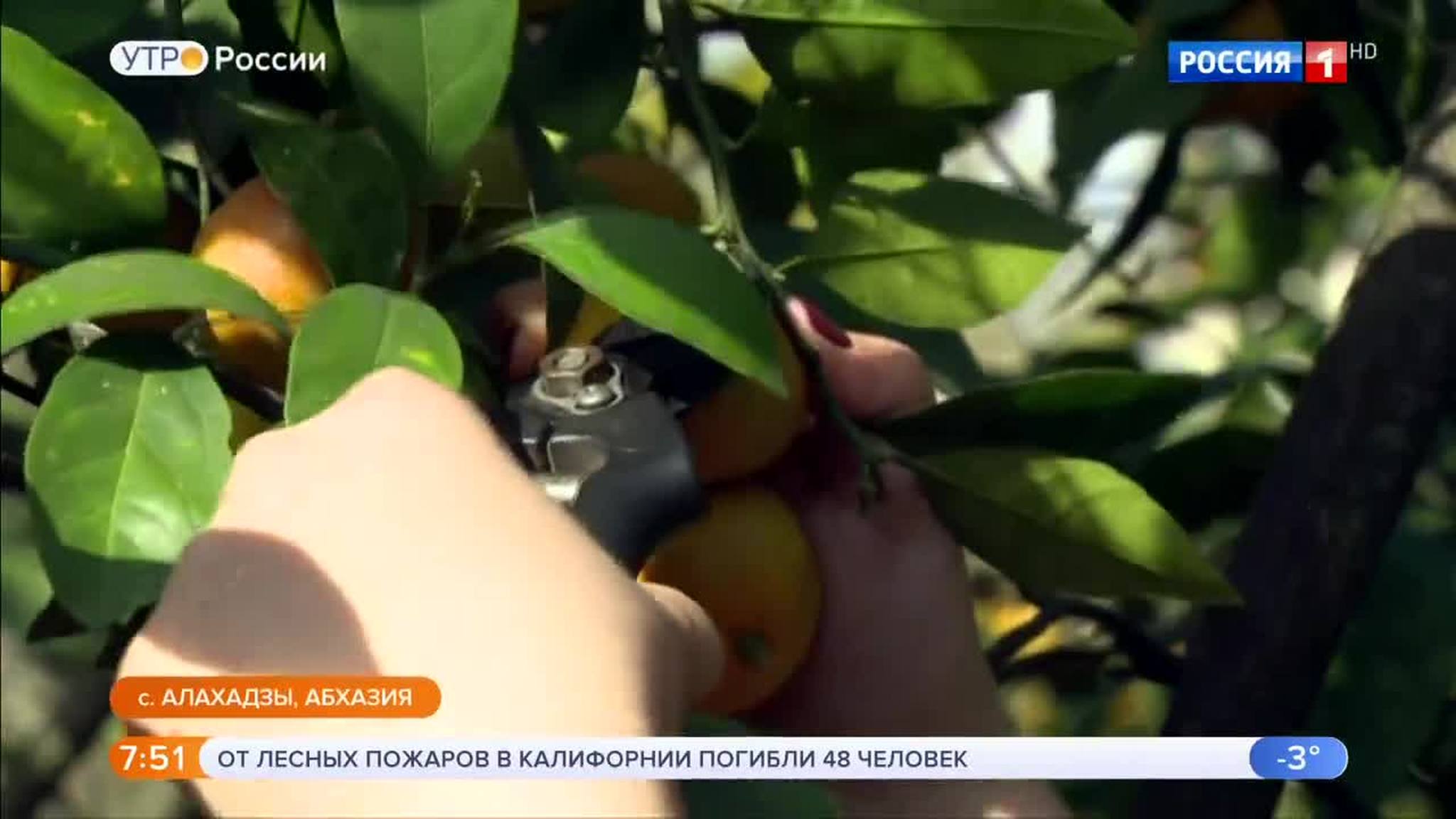 Эфир от 14.11.2018