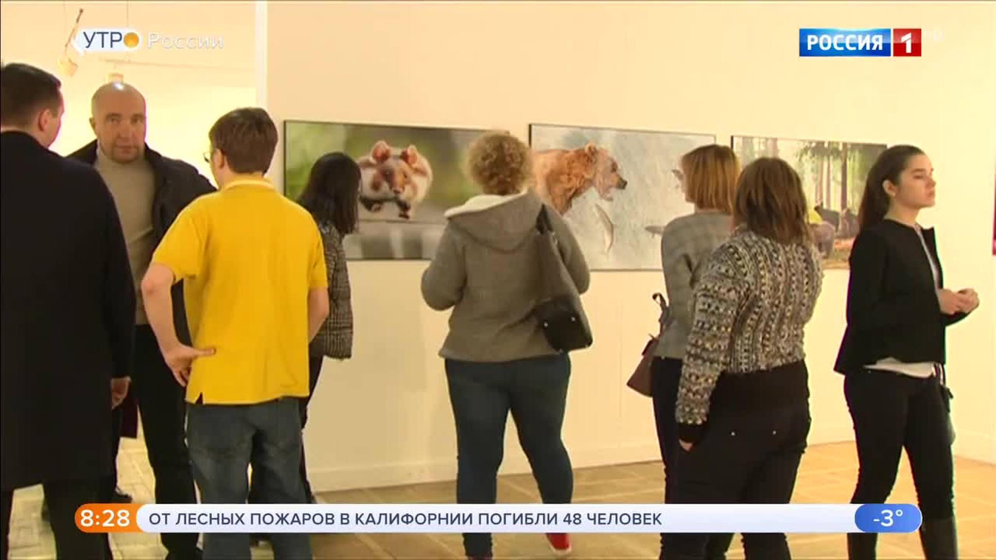 Эфир от 14.11.2018