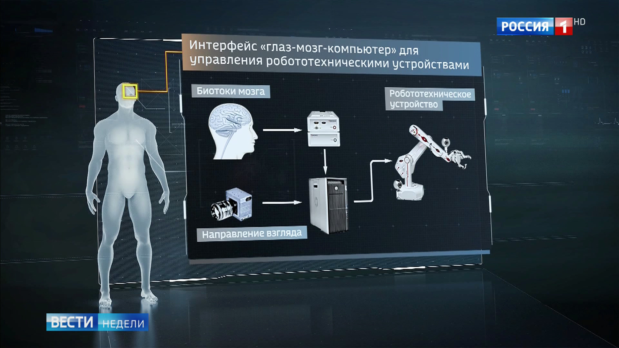 Российские ученые работают над интерфейсом "глаз - мозг - компьютер"