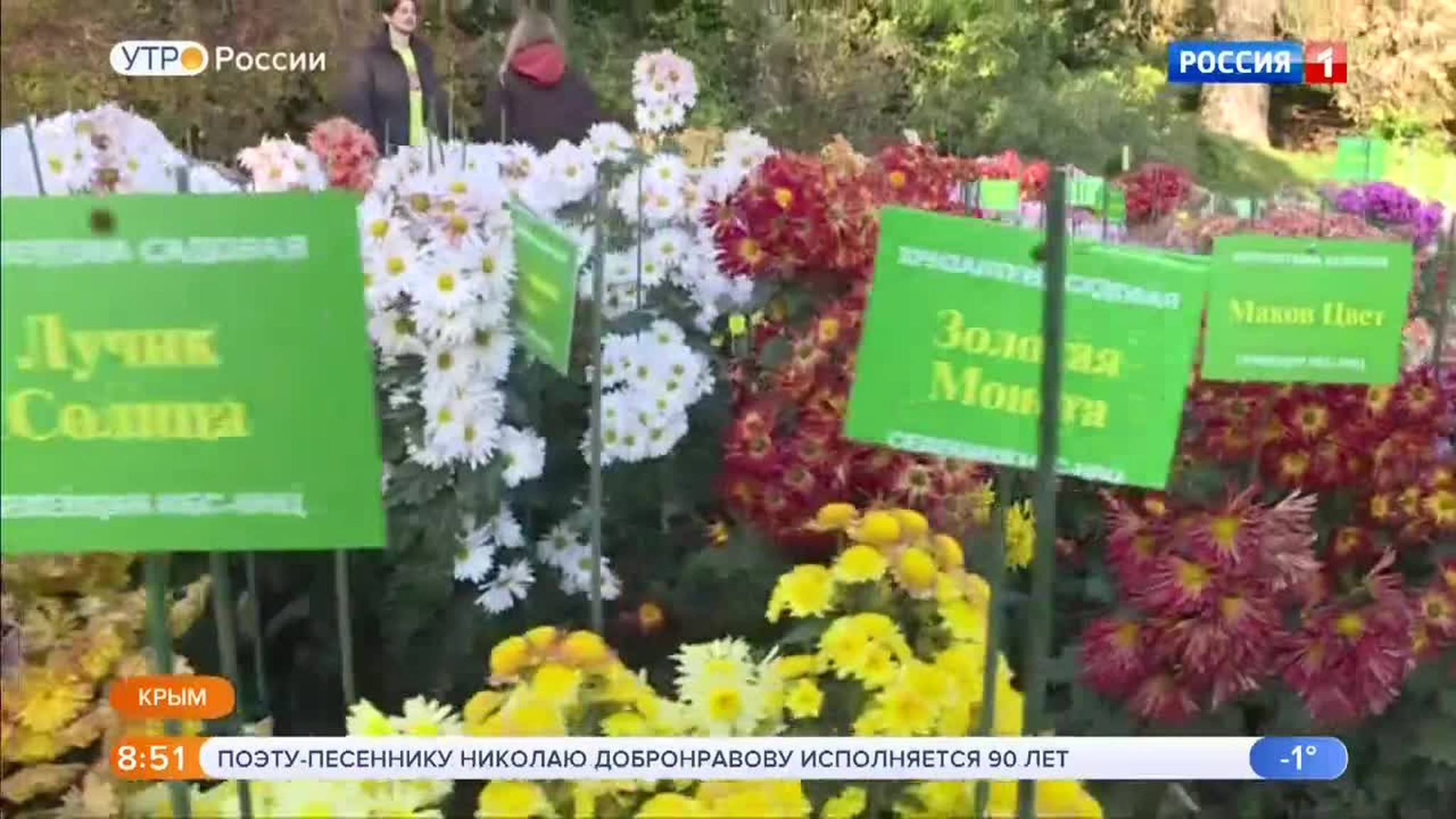 Эфир от 22.11.2018