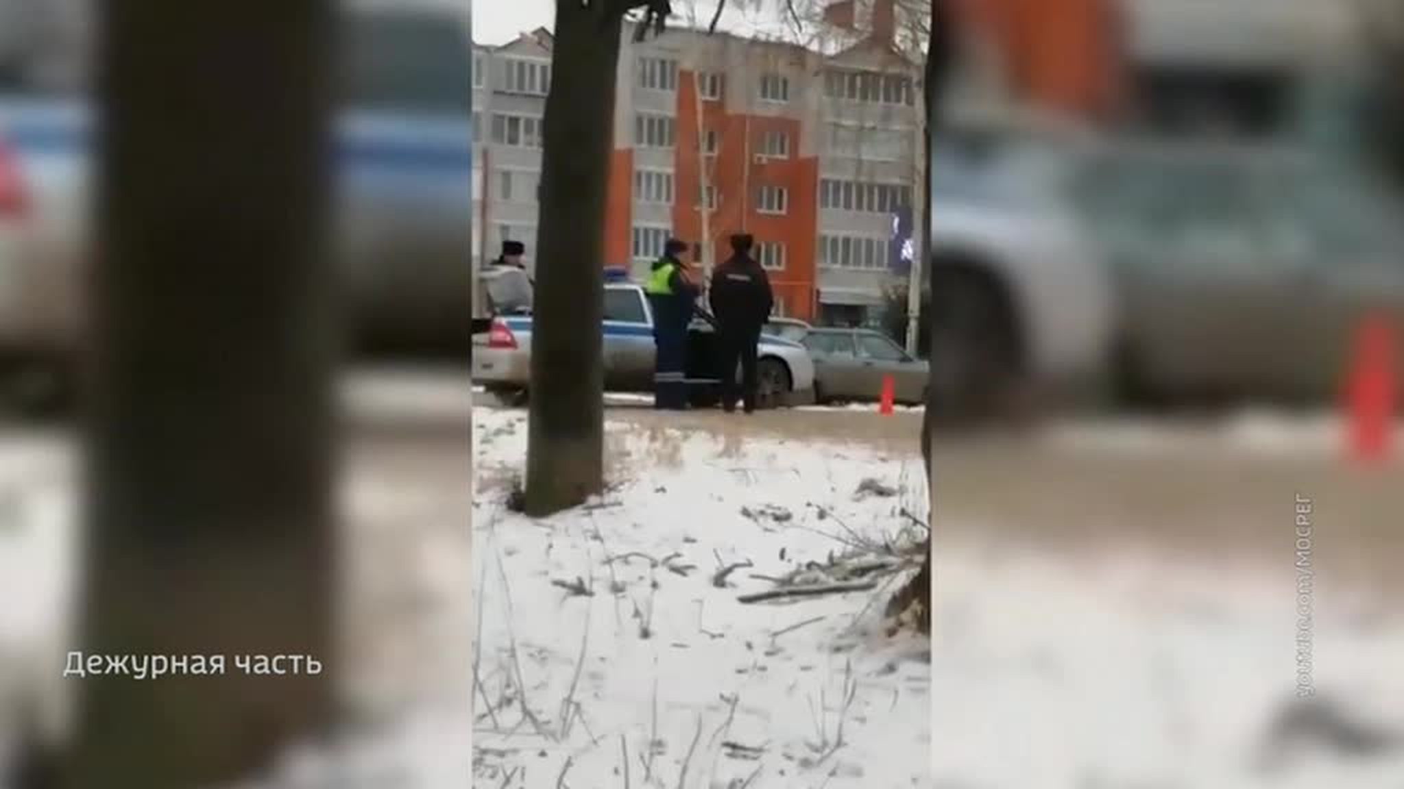 В подмосковной квартире взорвалась граната