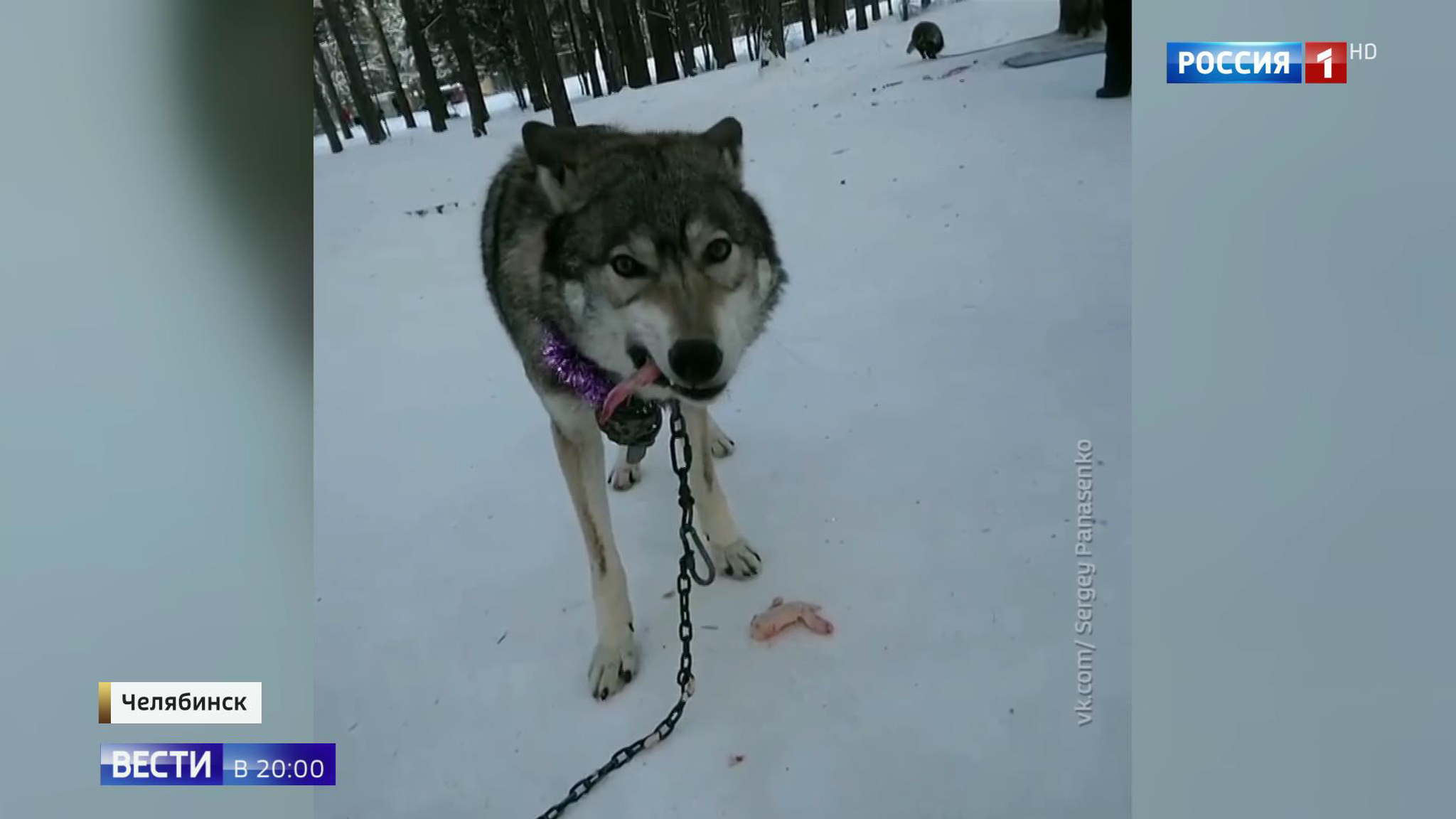 Эфир от 07.01.2019
