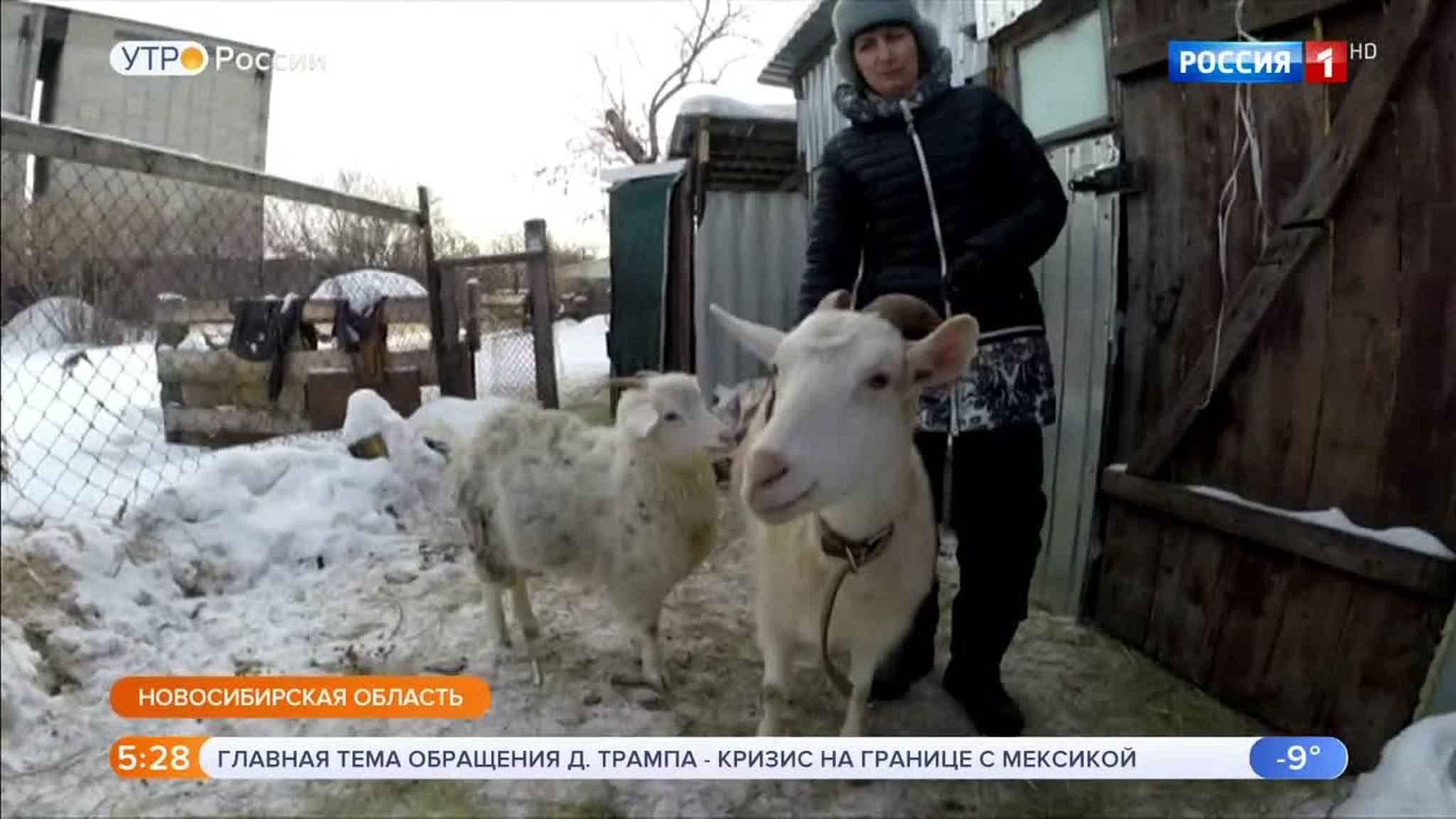 Эфир от 09.01.2019 (05:00)