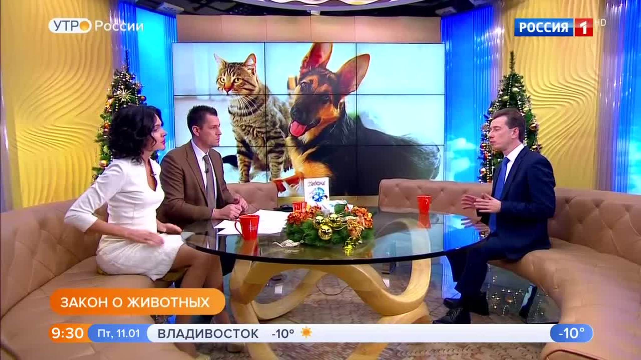 Эфир от 11.01.2019 (09:25)