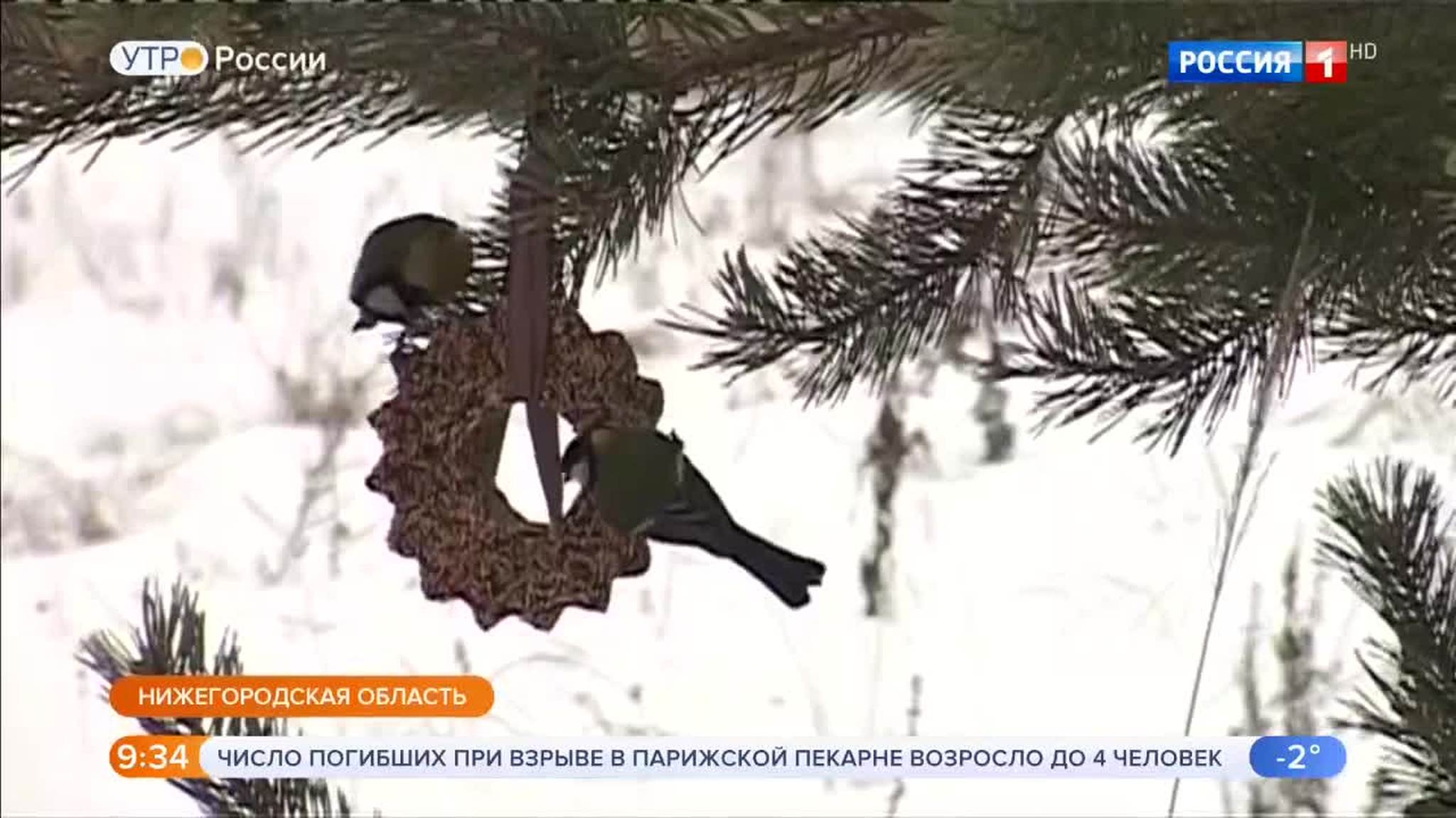 Эфир от 14.01.2019 (09:25)