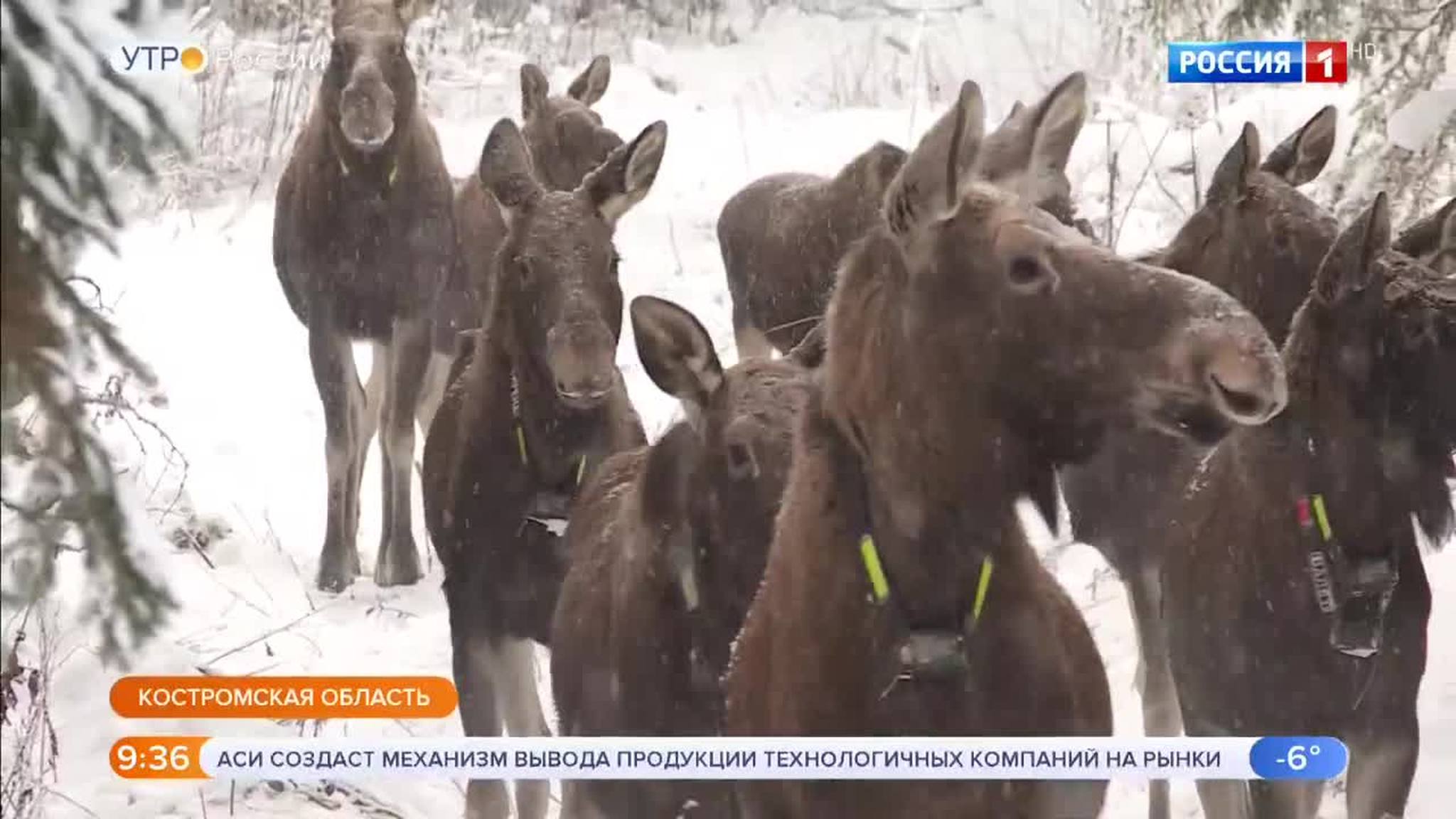 Эфир от 16.01.2019 (09:25)