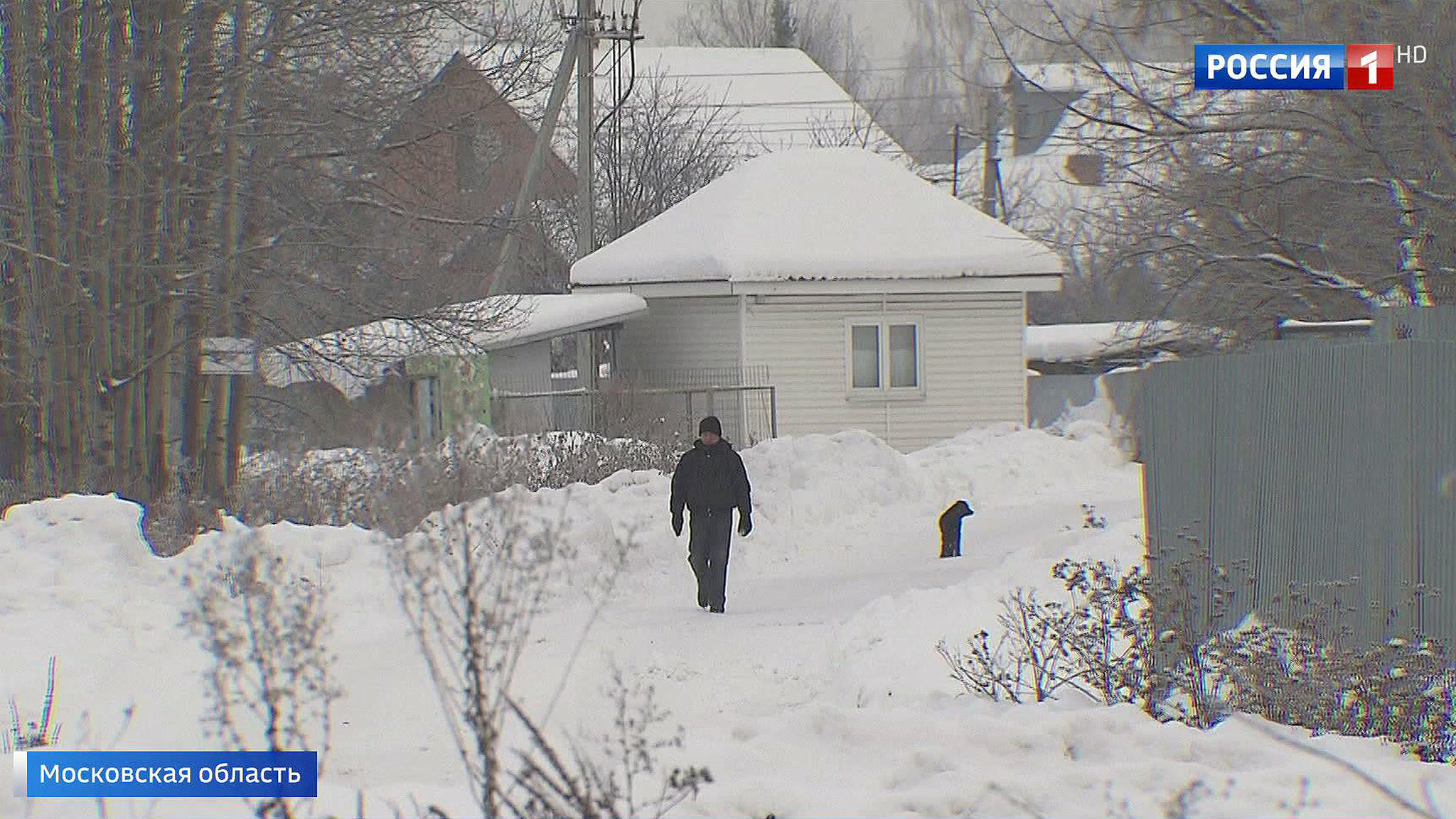Борьба за власть в стиле 90-х: в подмосковном кооперативе делят место председателя
