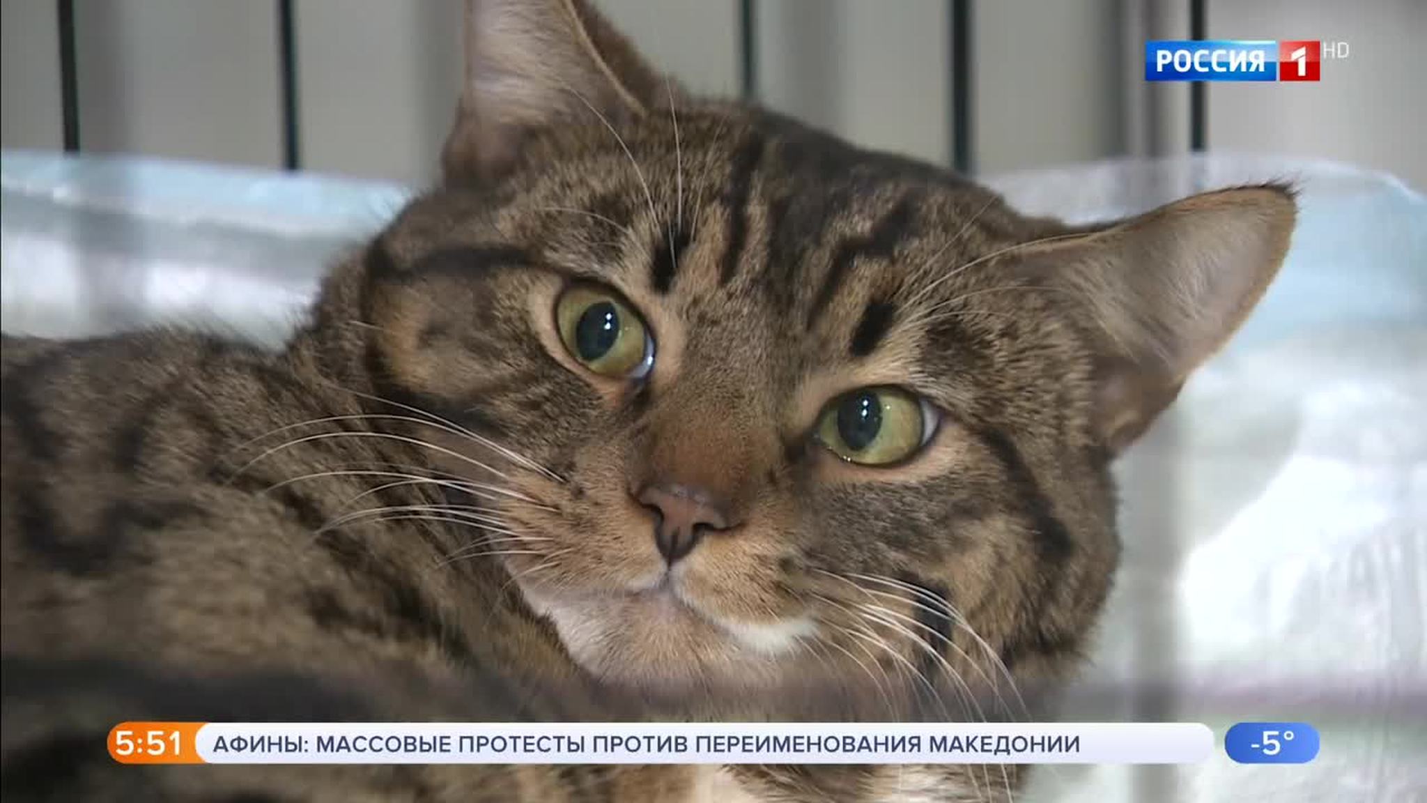 Эфир от 21.01.2019 (05:00)