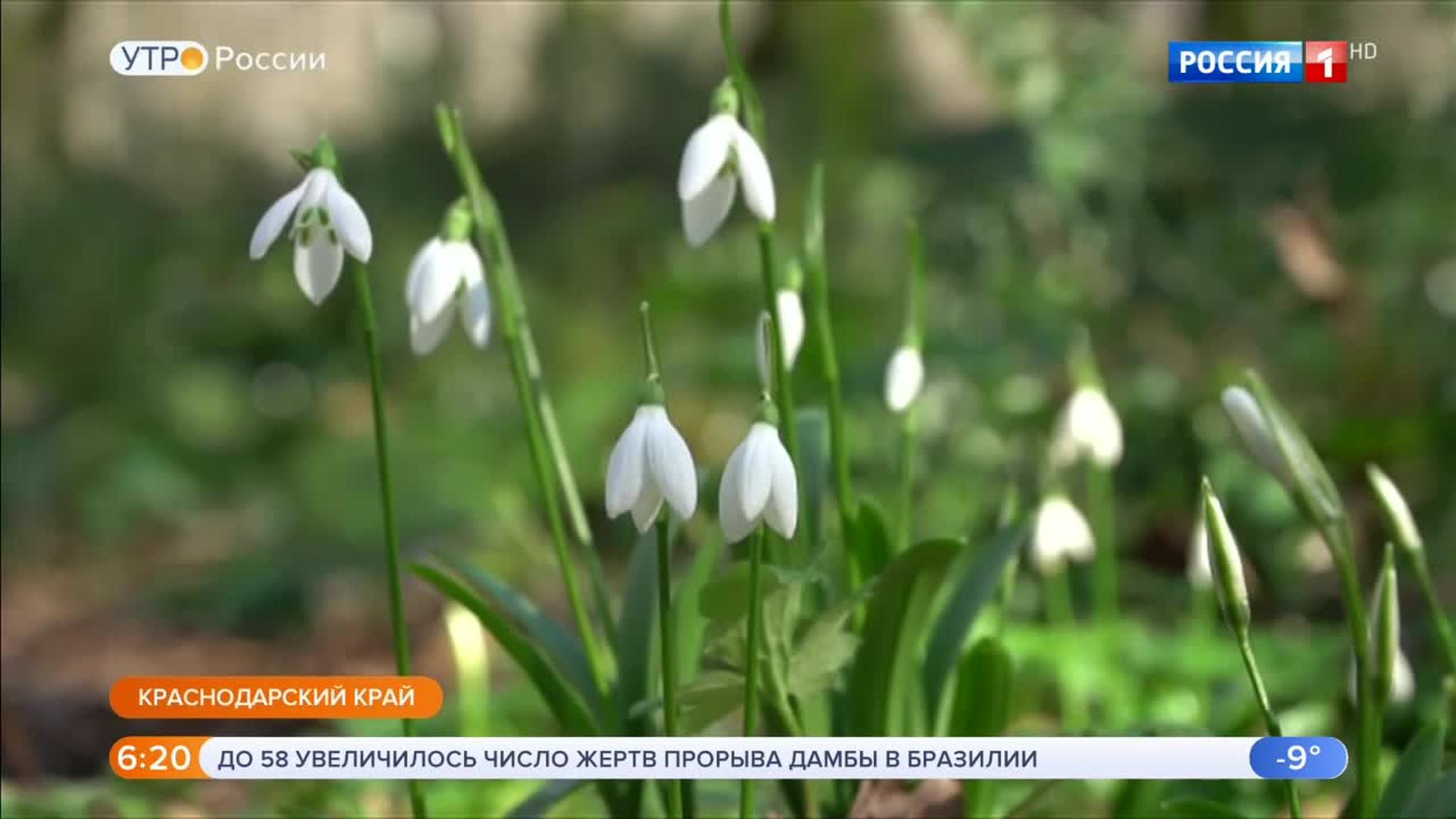 Эфир от 28.01.2019 (05:00)