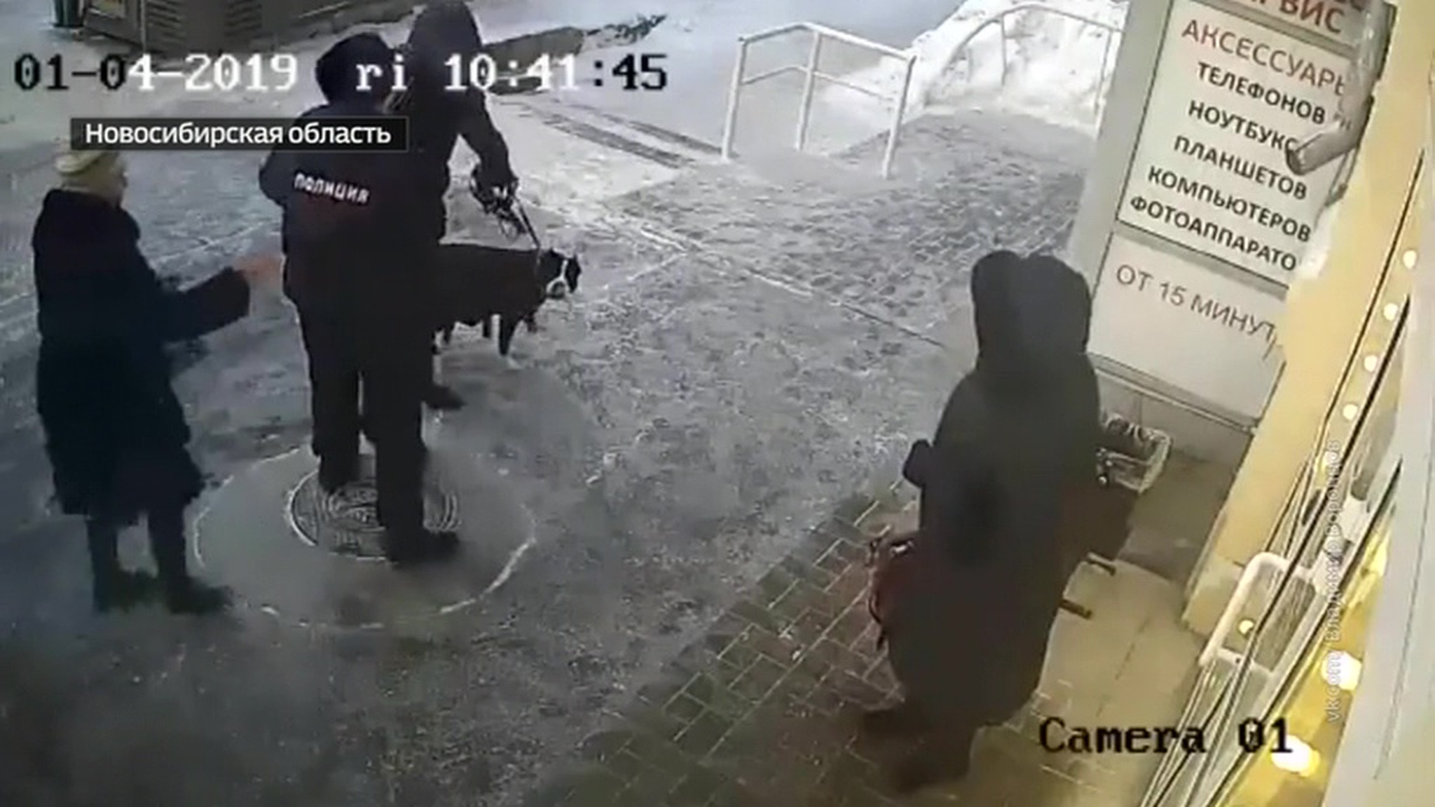 Новые обстоятельства уголовного дела из-за намордника