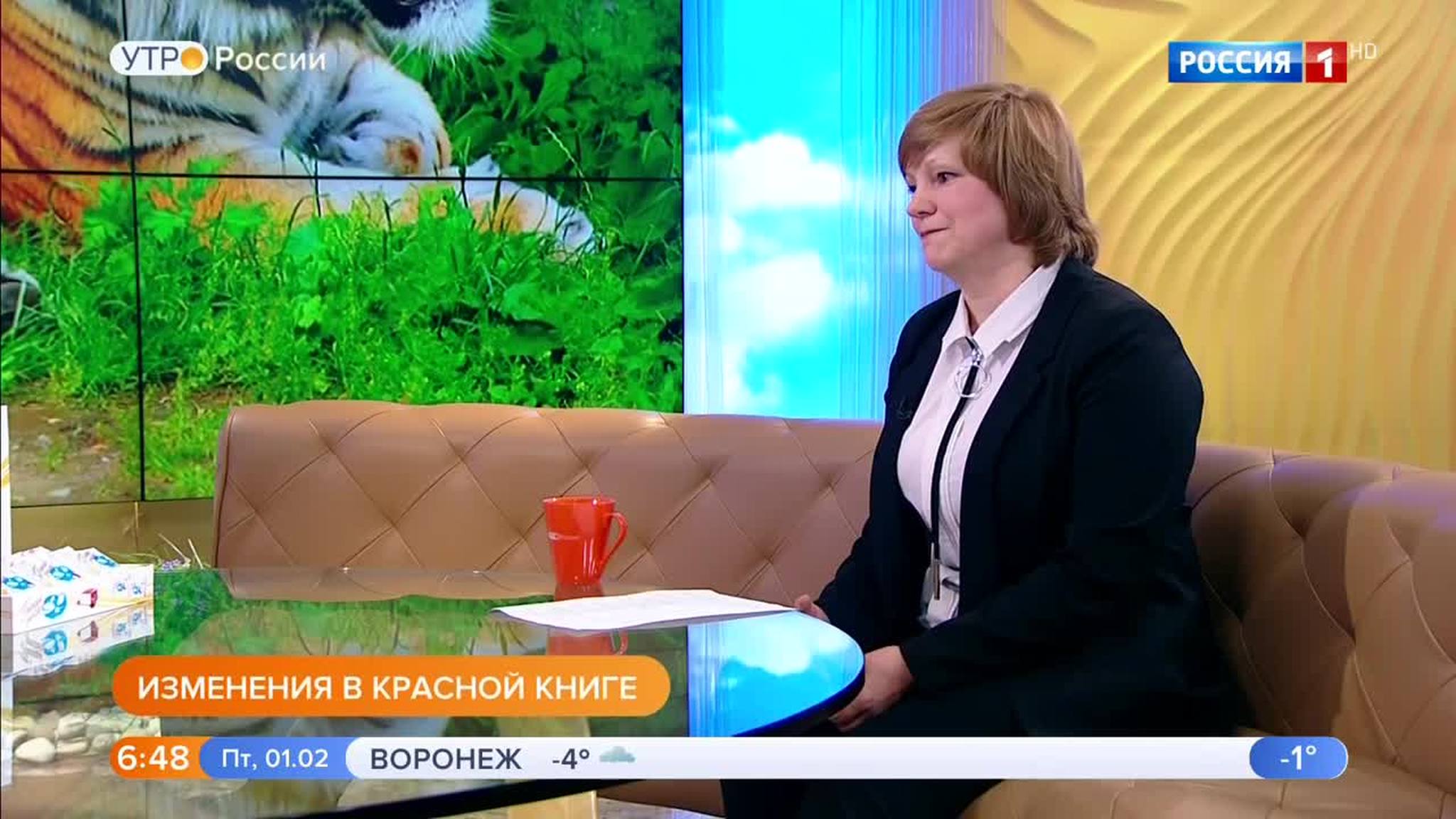 Эфир от 01.02.2019 (05:00)