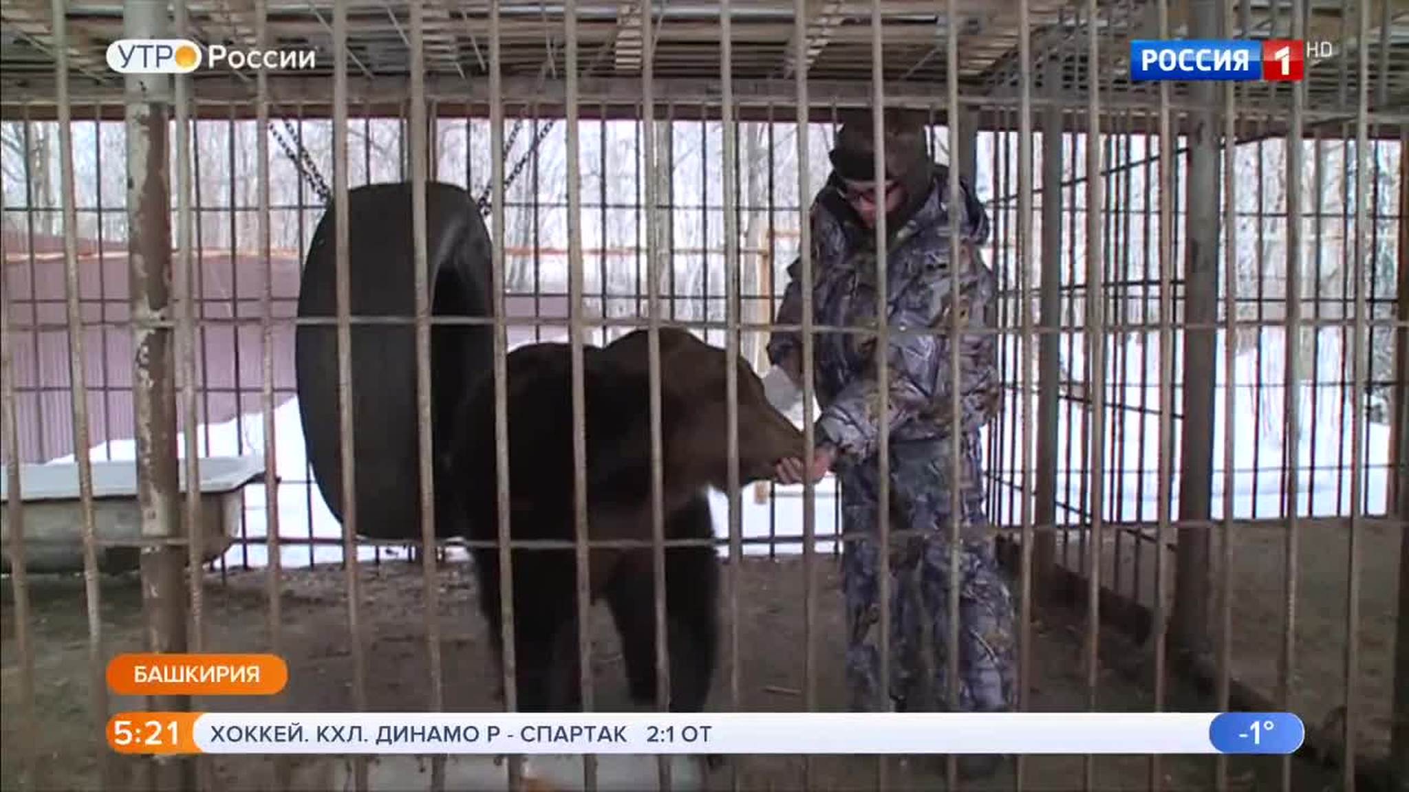 Эфир от 01.02.2019 (05:00)