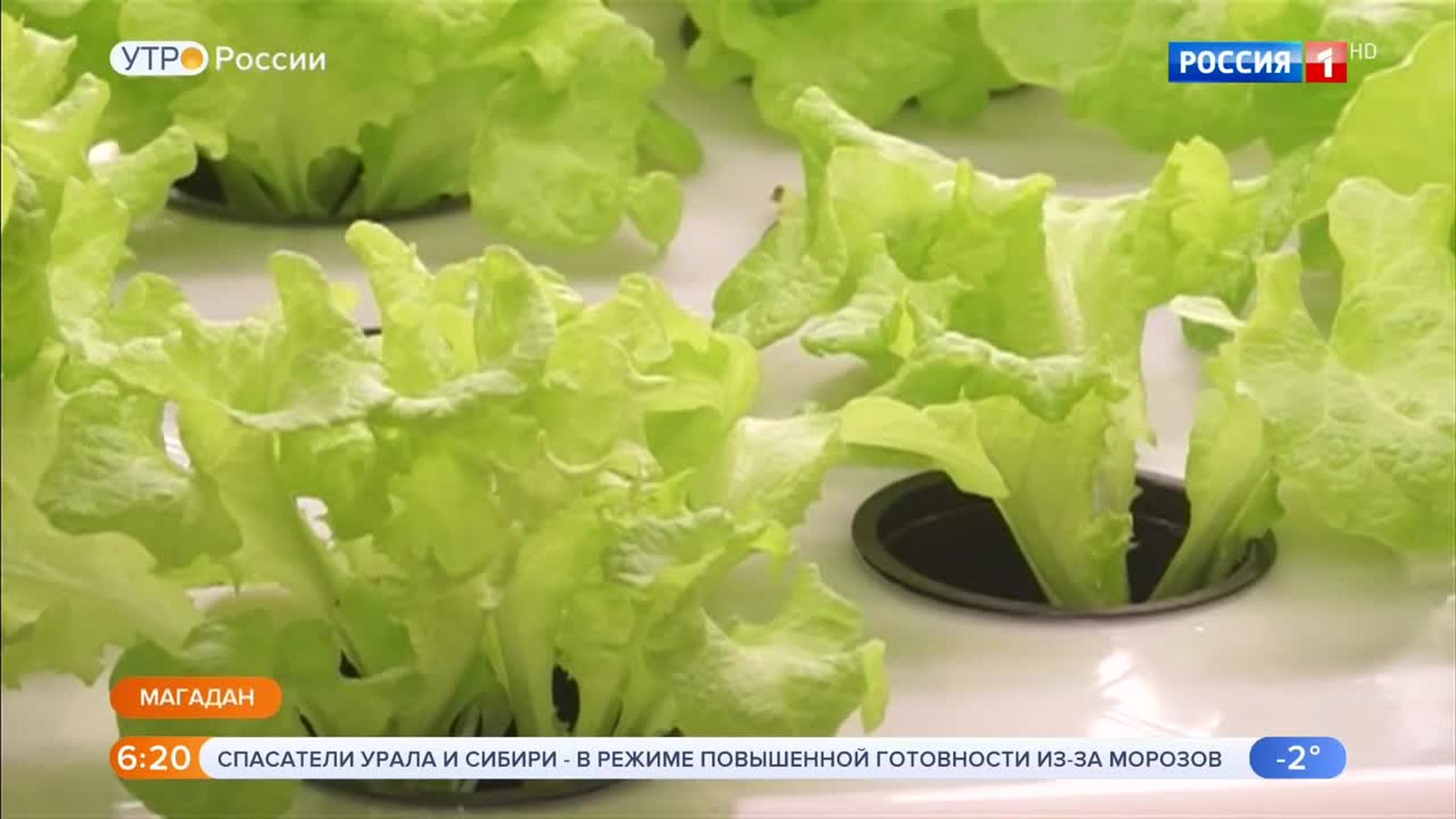Эфир от 06.02.2019 (05:00)