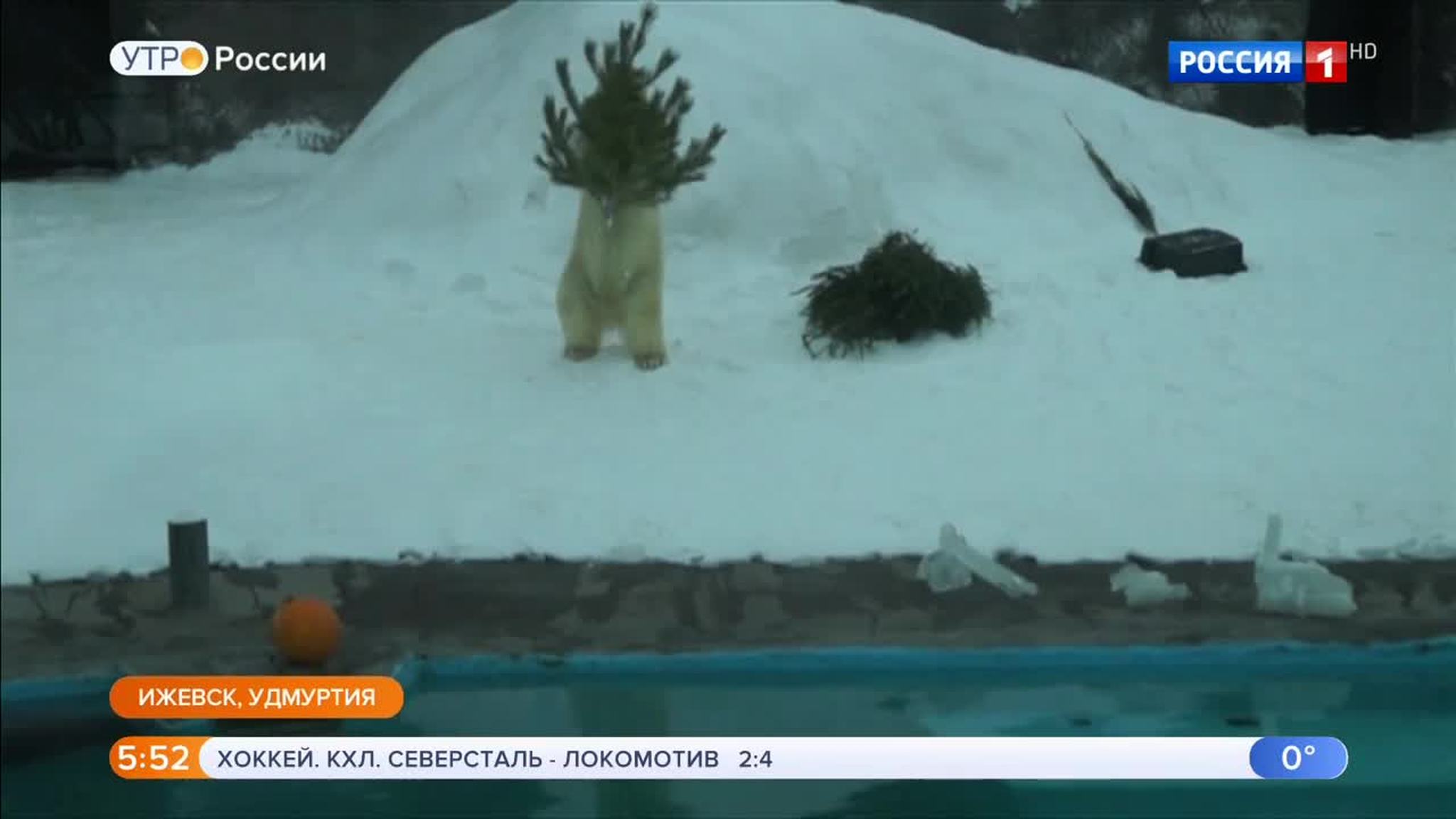 Эфир от 31.01.2019 (05:00)