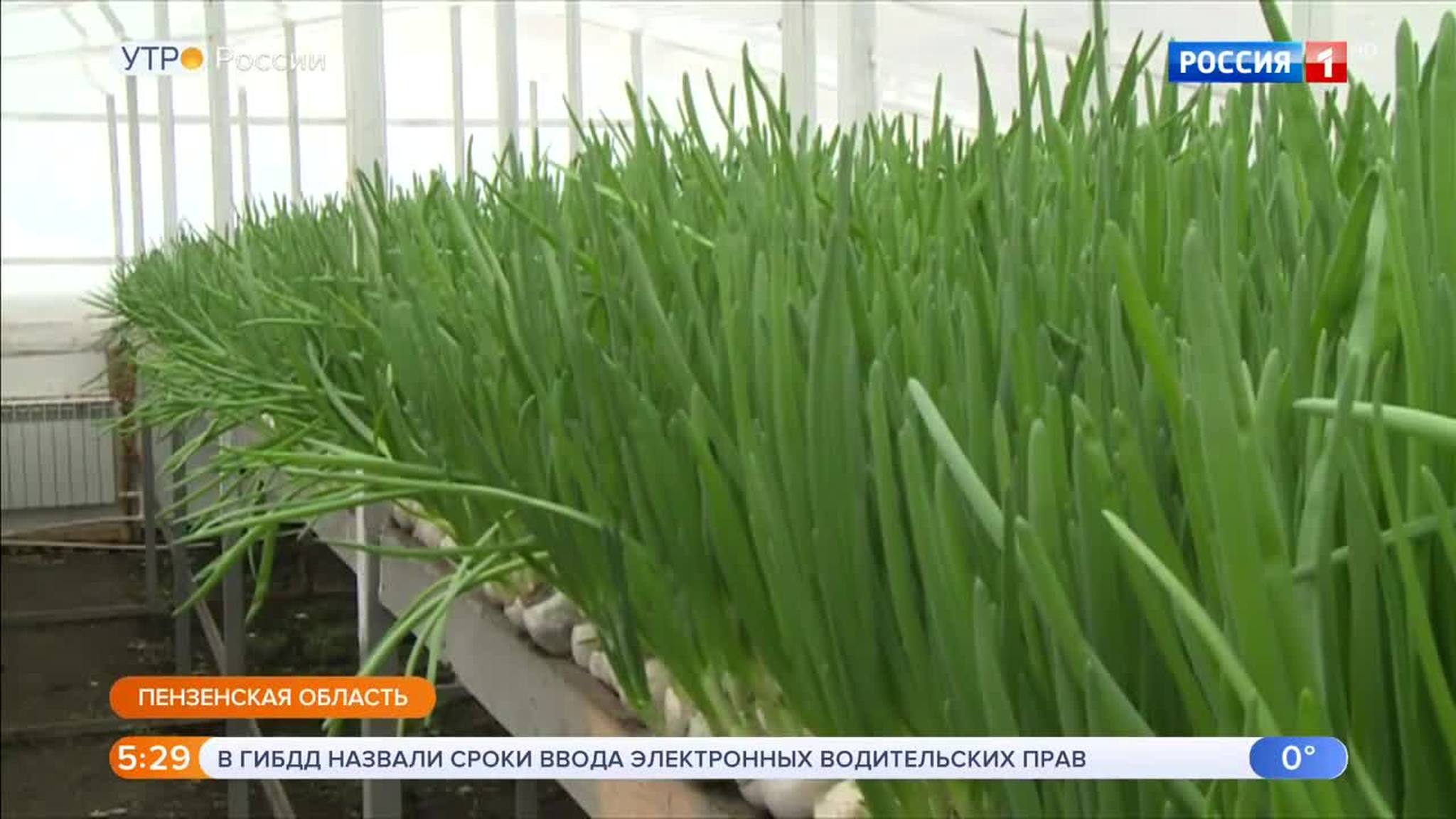 Эфир от 26.02.2019 (05:00)