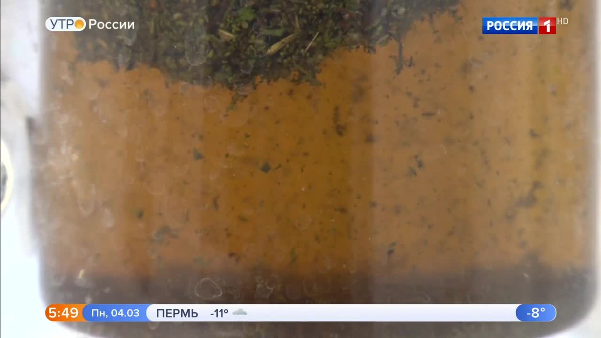 Эфир от 04.03.2019 (05:00)