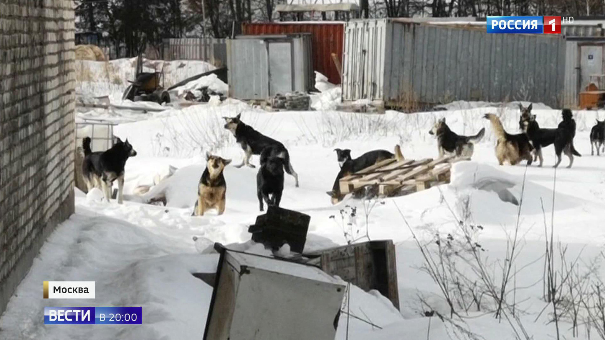 Эфир от 06.03.2019