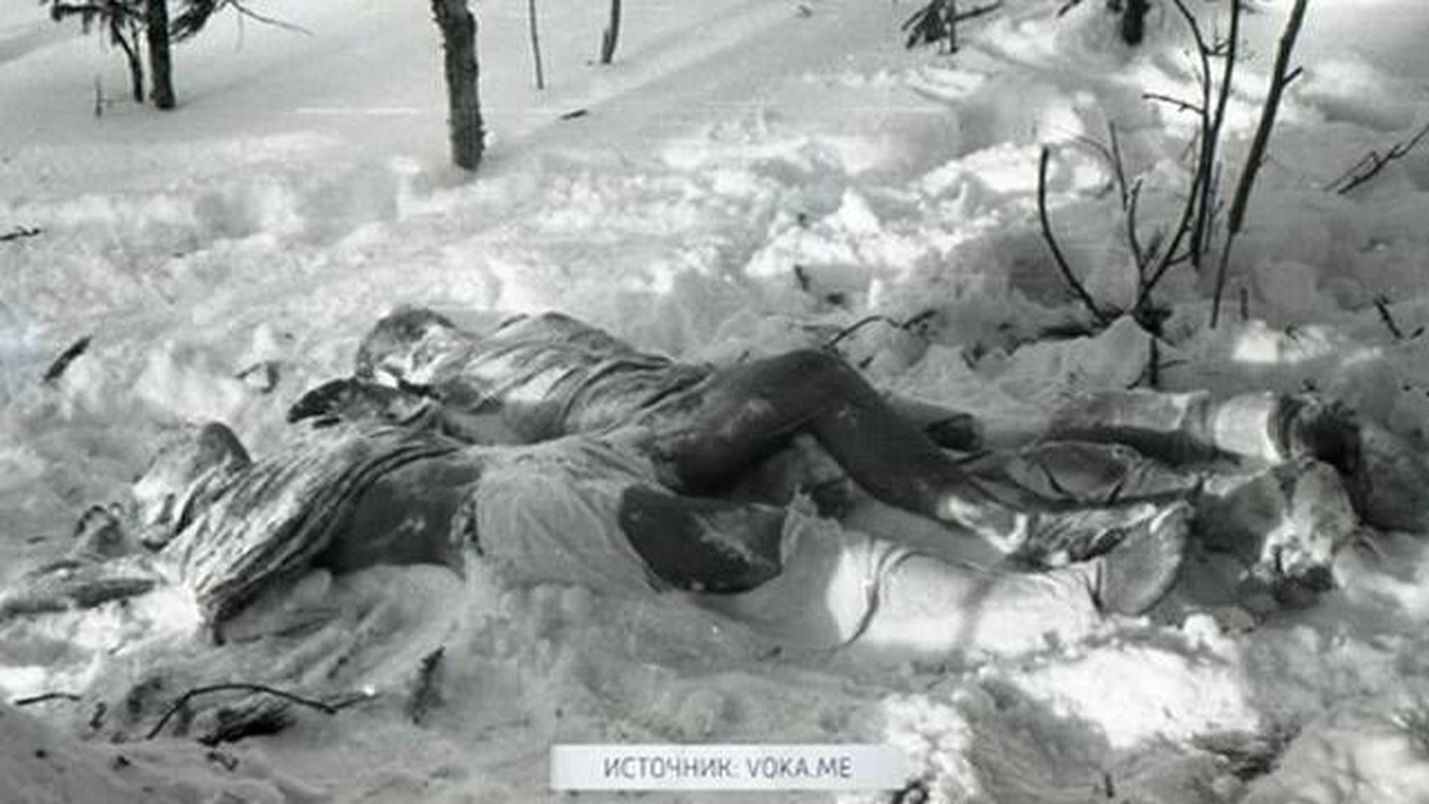 Дятловцев убила росомаха?