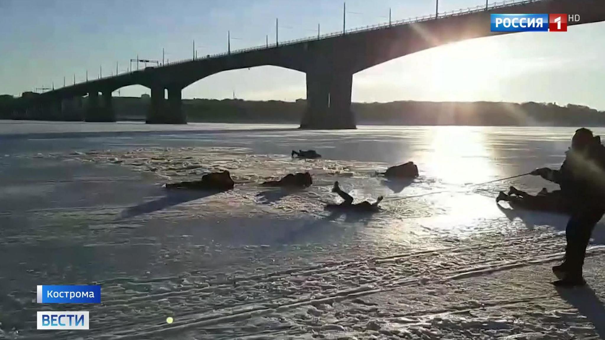 В Костроме бывший полицейский спас провалившихся под лед подростков