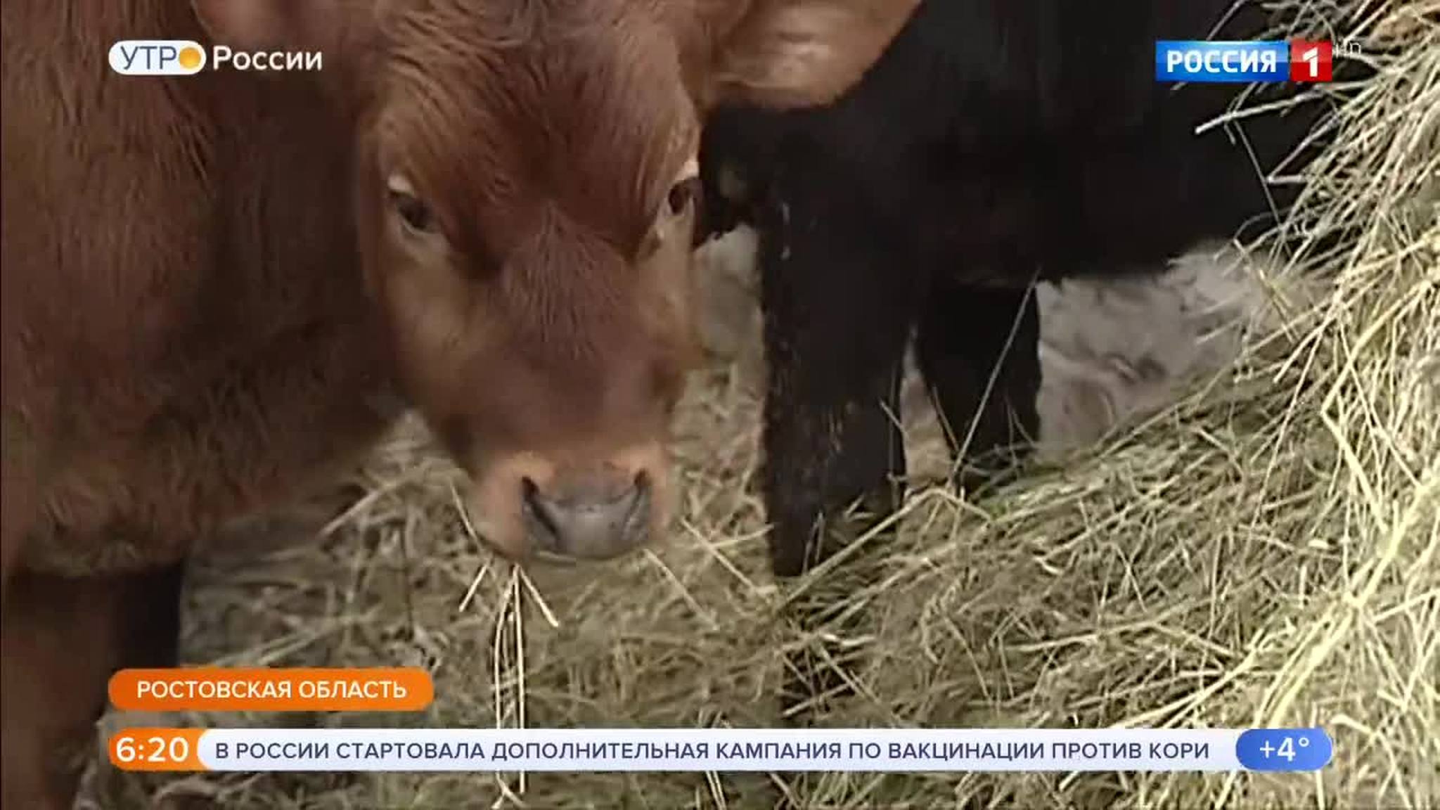 Эфир от 01.04.2019 (05:00)