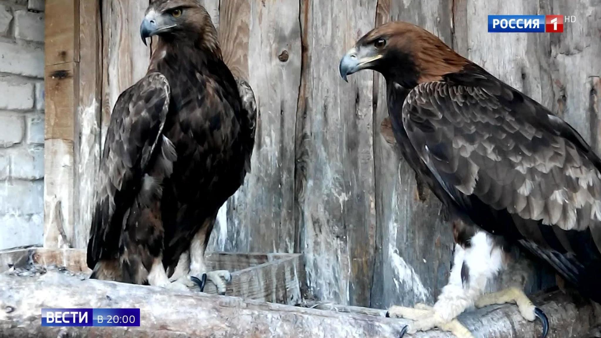 Эфир от 12.04.2019