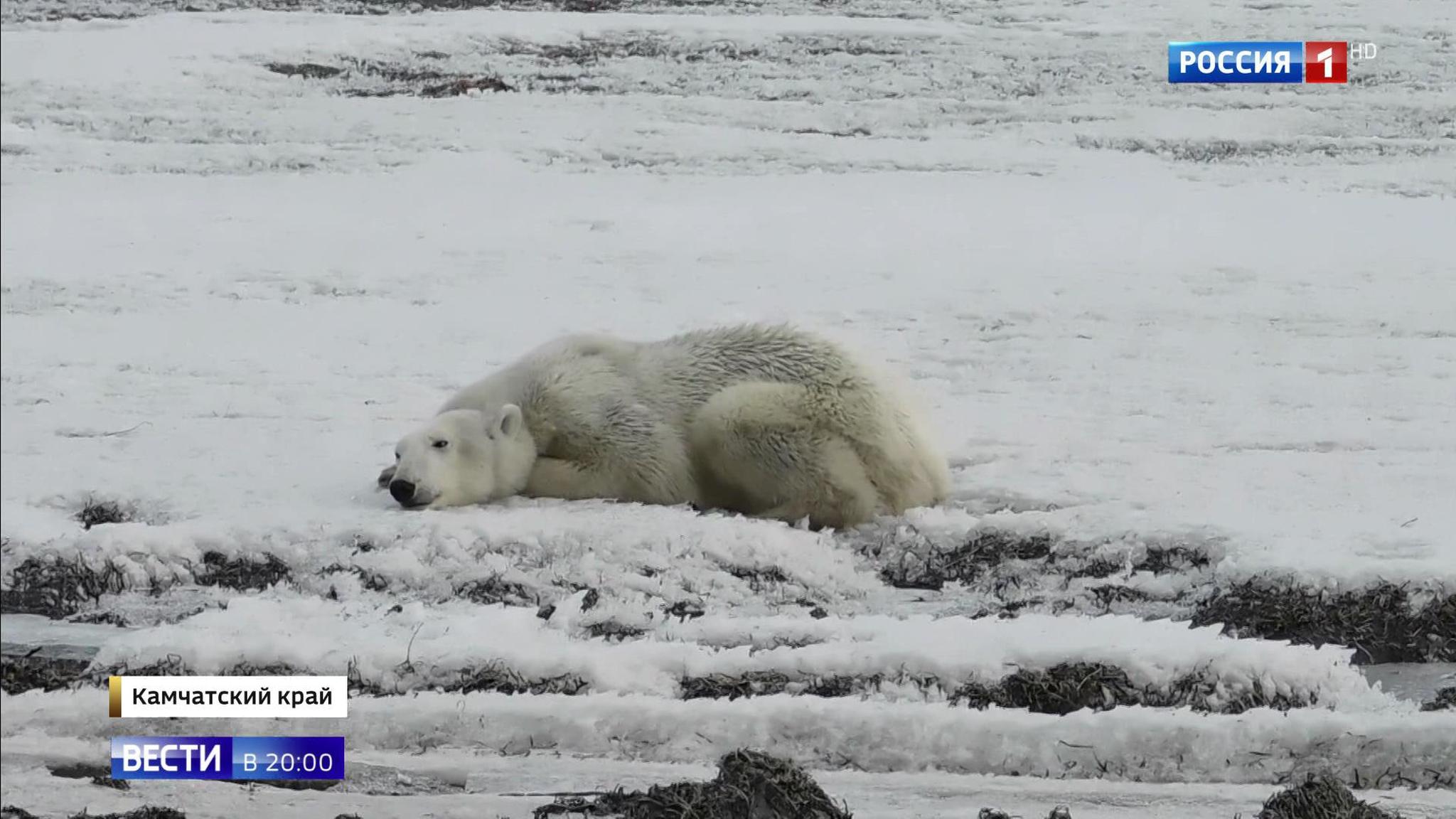Эфир от 22.04.2019