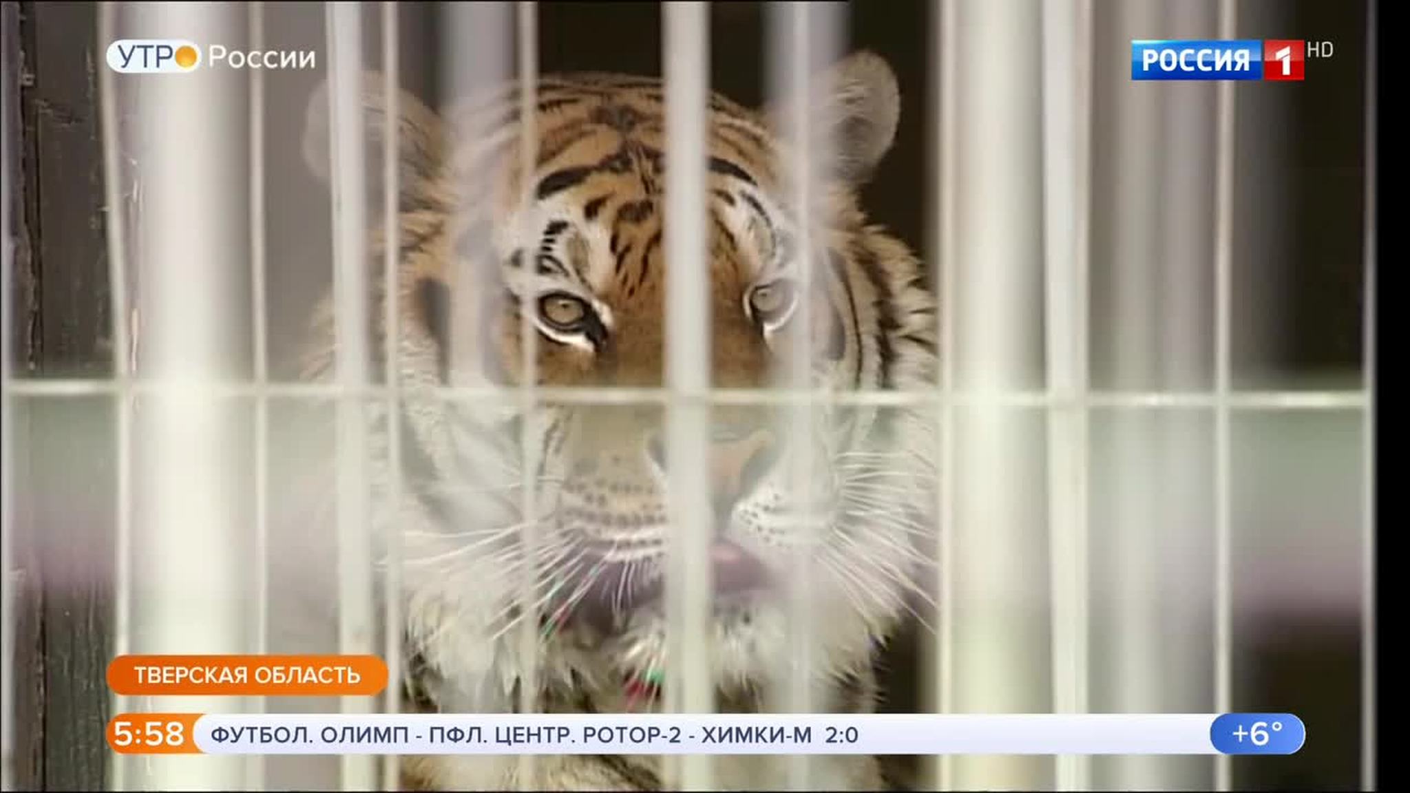 Эфир от 22.04.2019 (05:00)