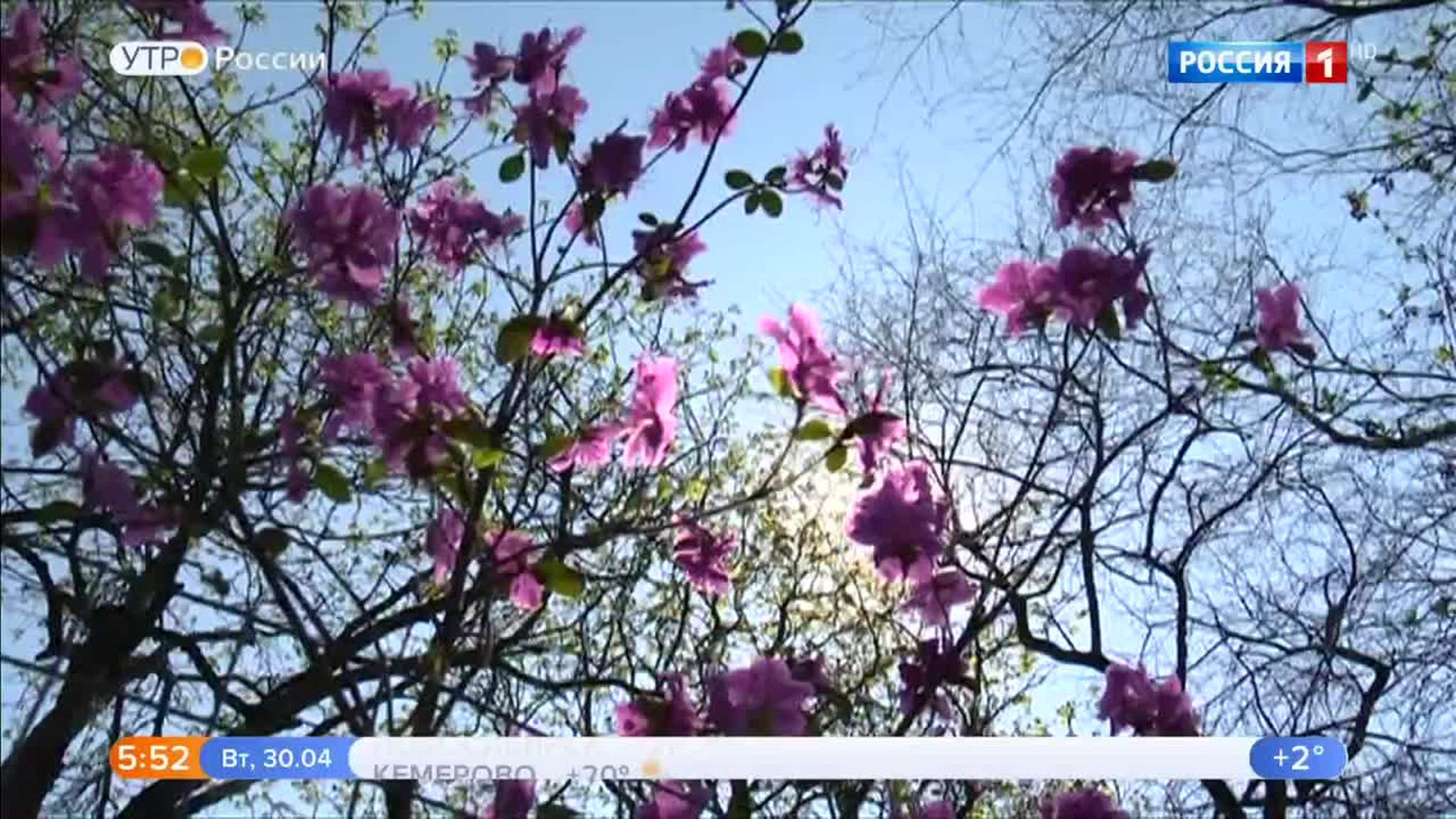 Эфир от 30.04.2019 (05:00)