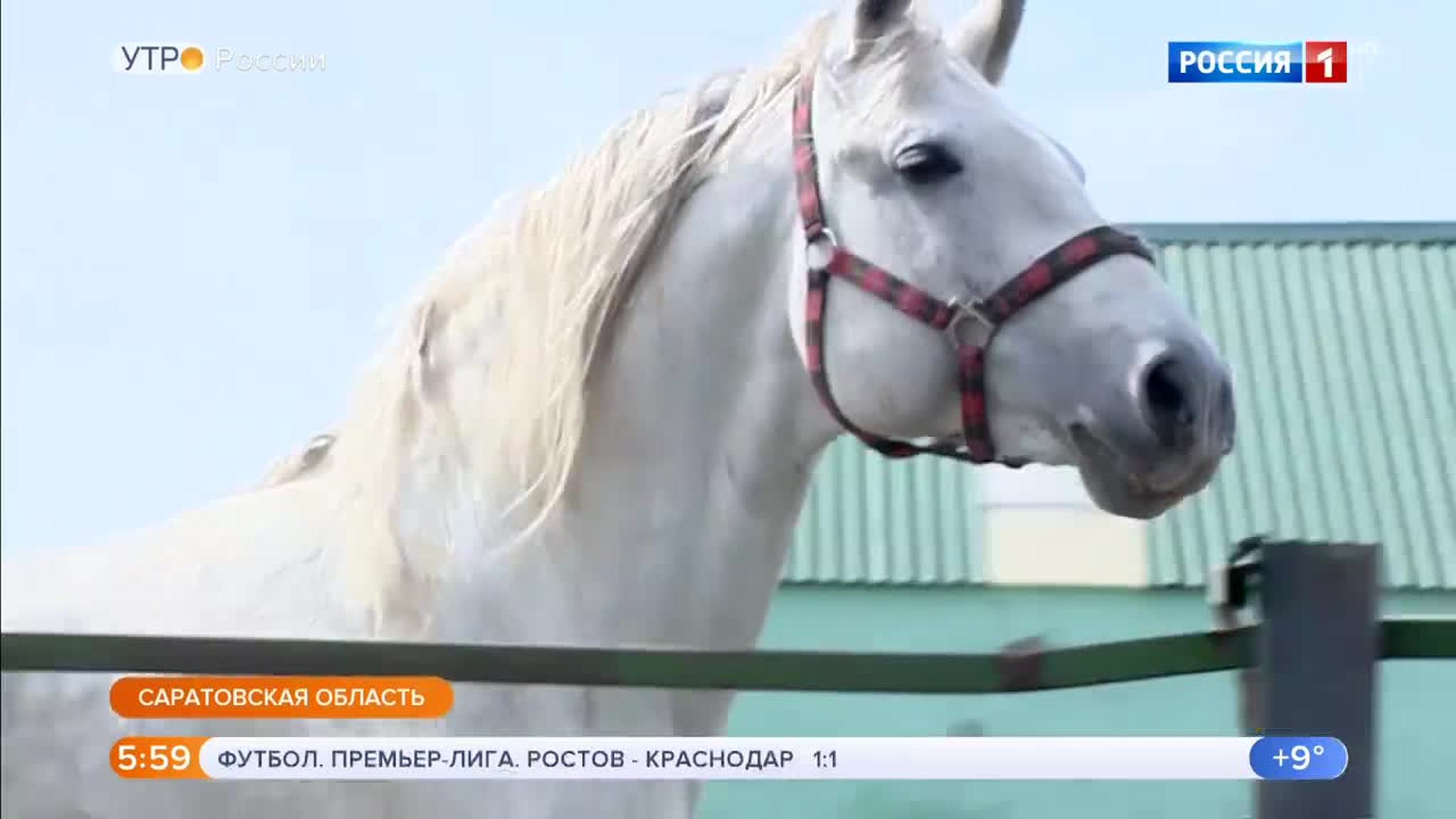 Эфир от 06.05.2019 (05:00)